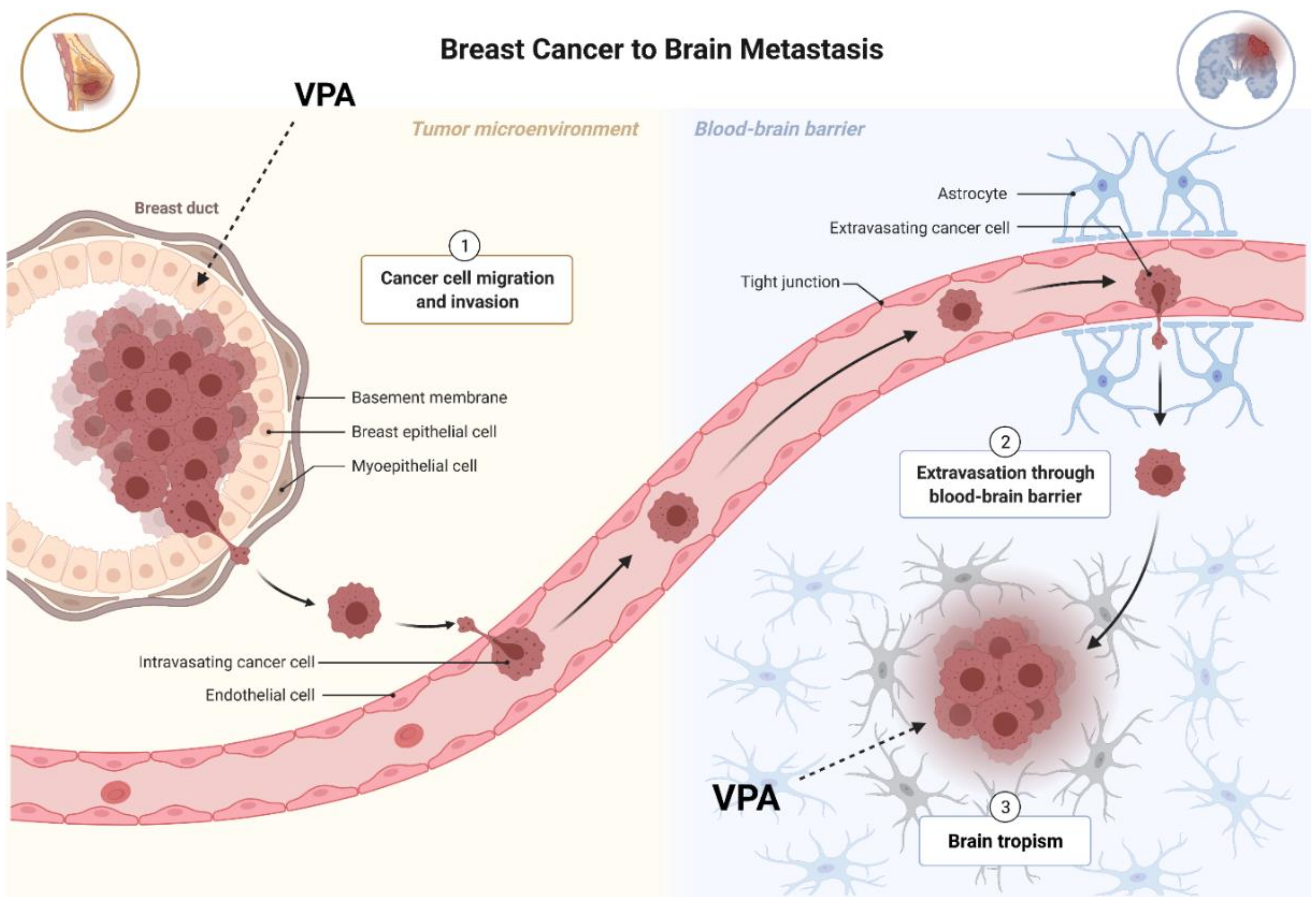 Cancers 13 03409 g003