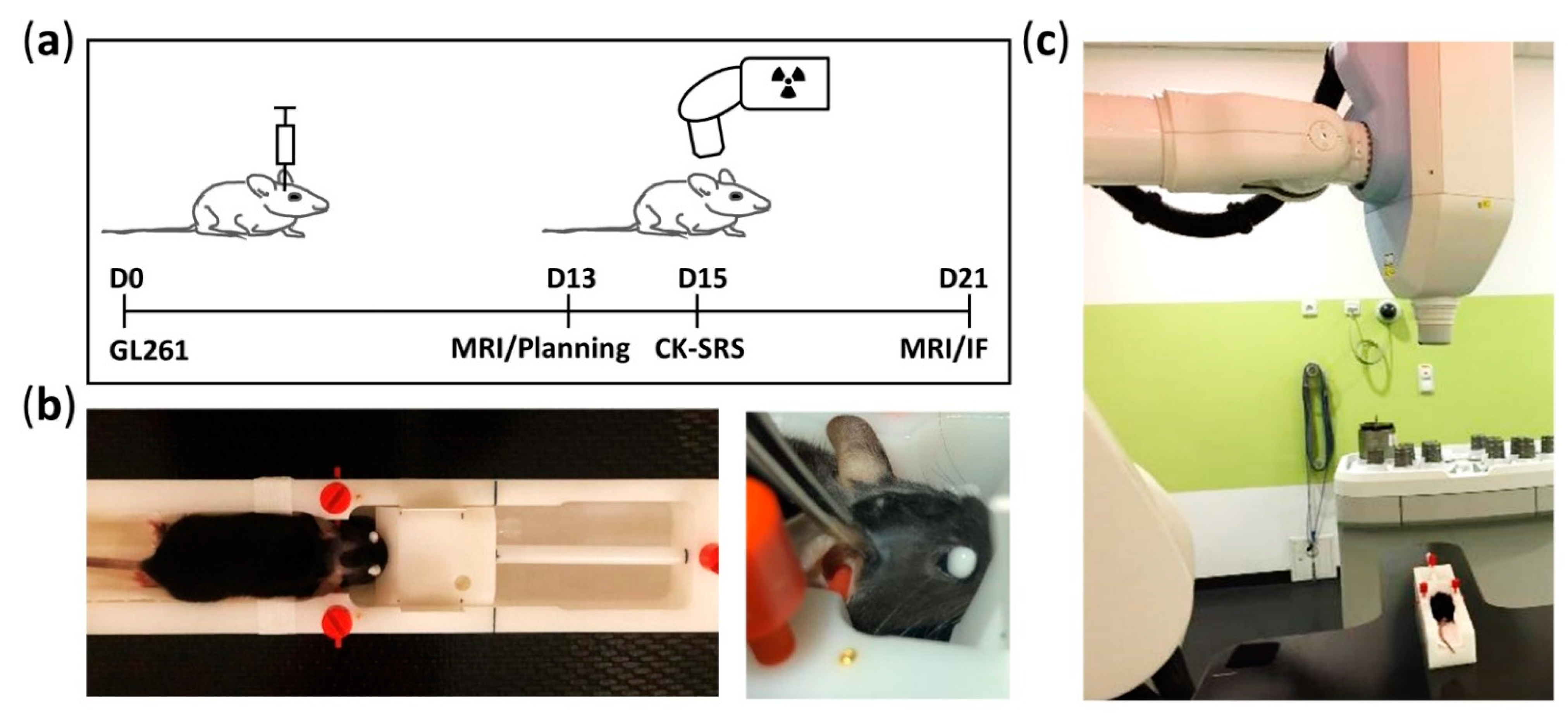 Cancers 13 03416 g001