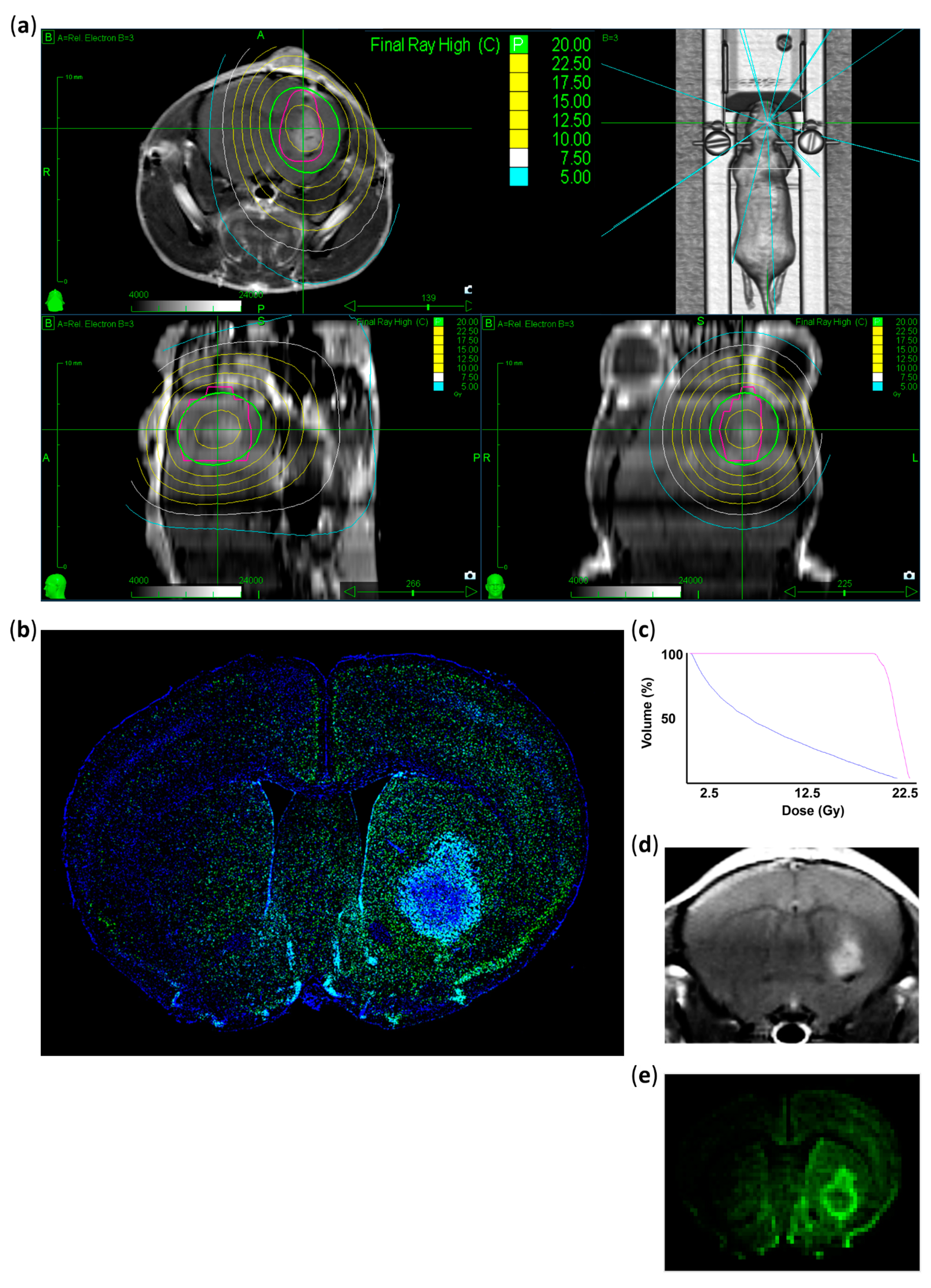 Cancers 13 03416 g002