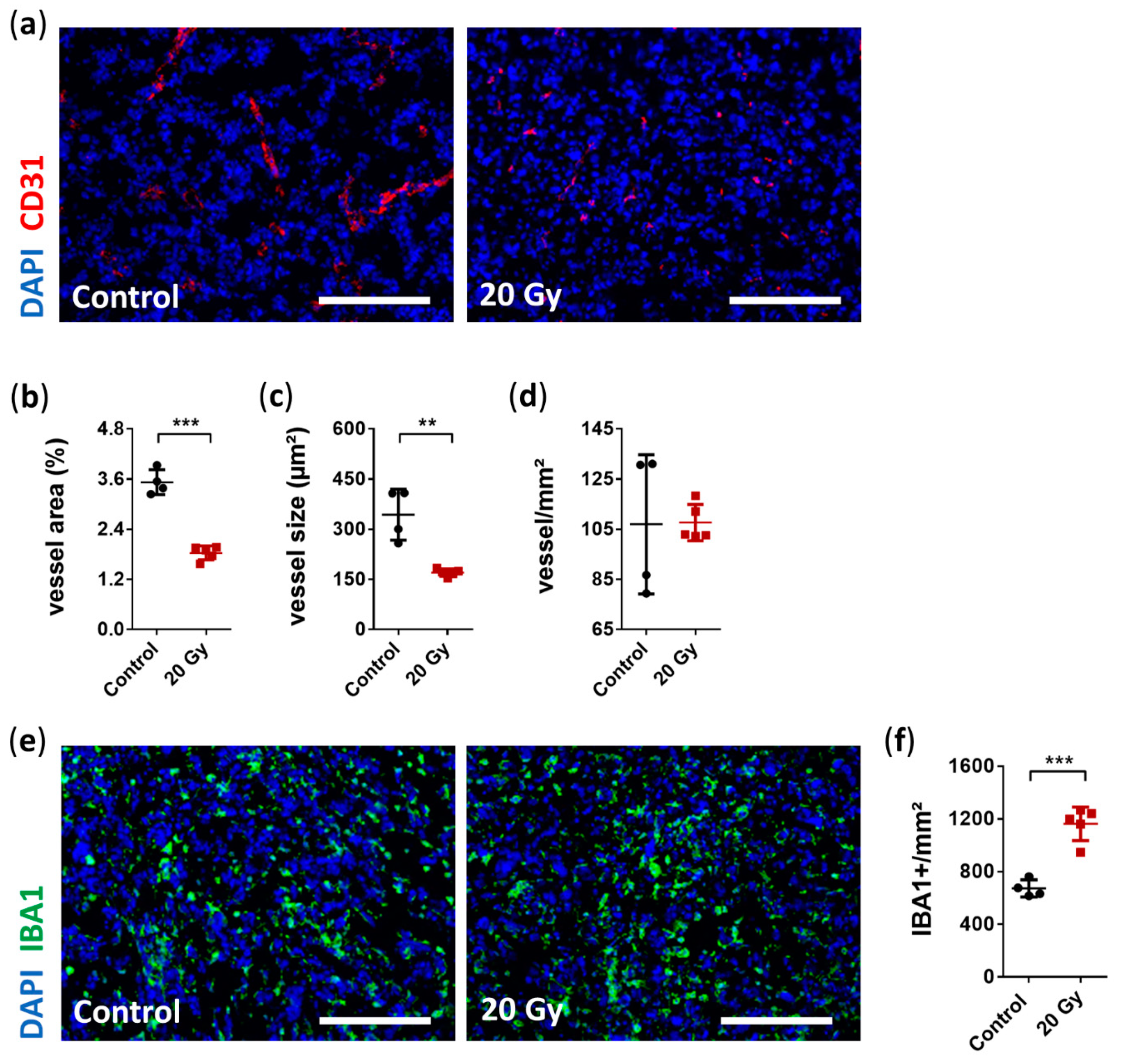 Cancers 13 03416 g005
