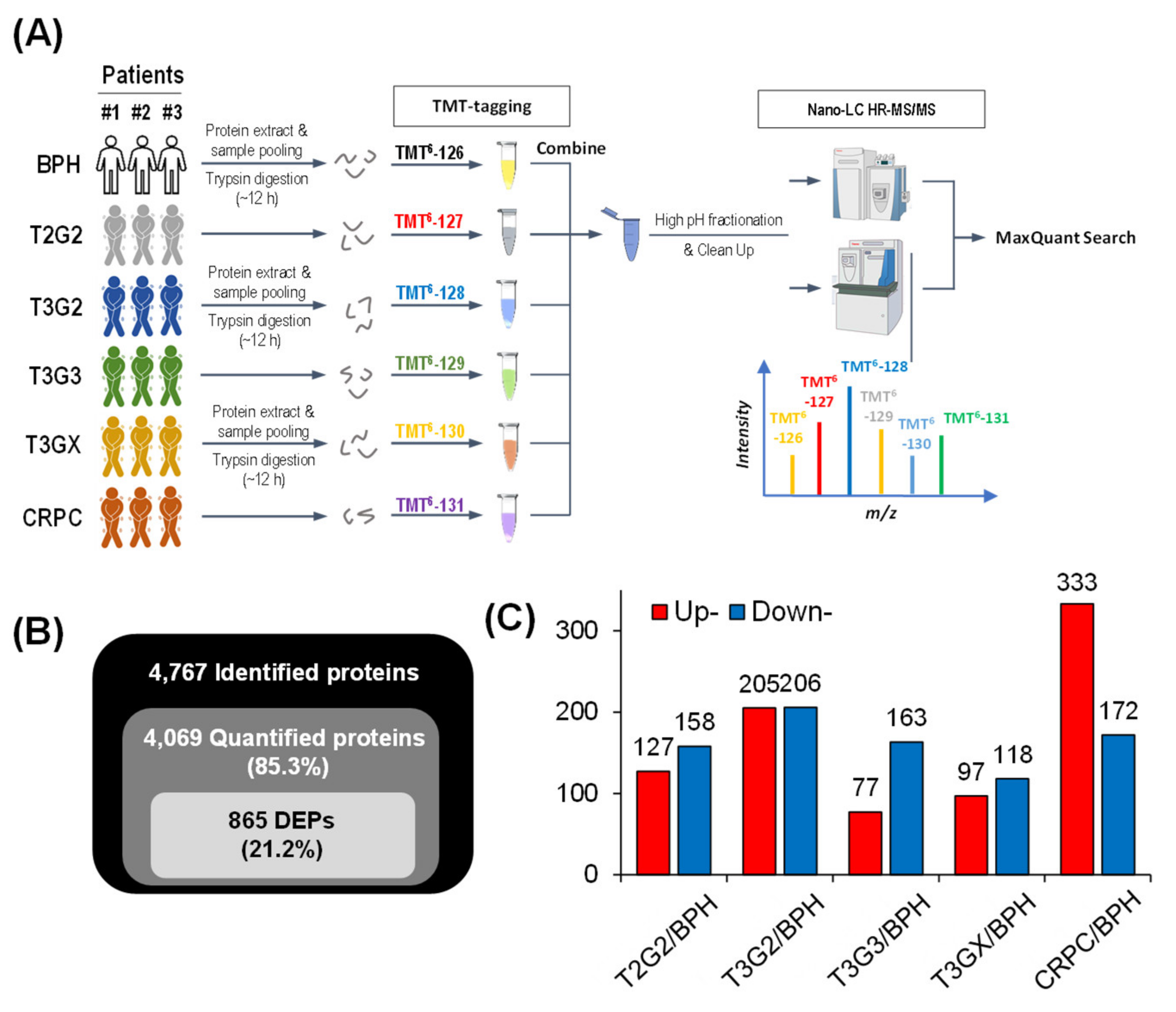 Cancers 13 03432 g001 550