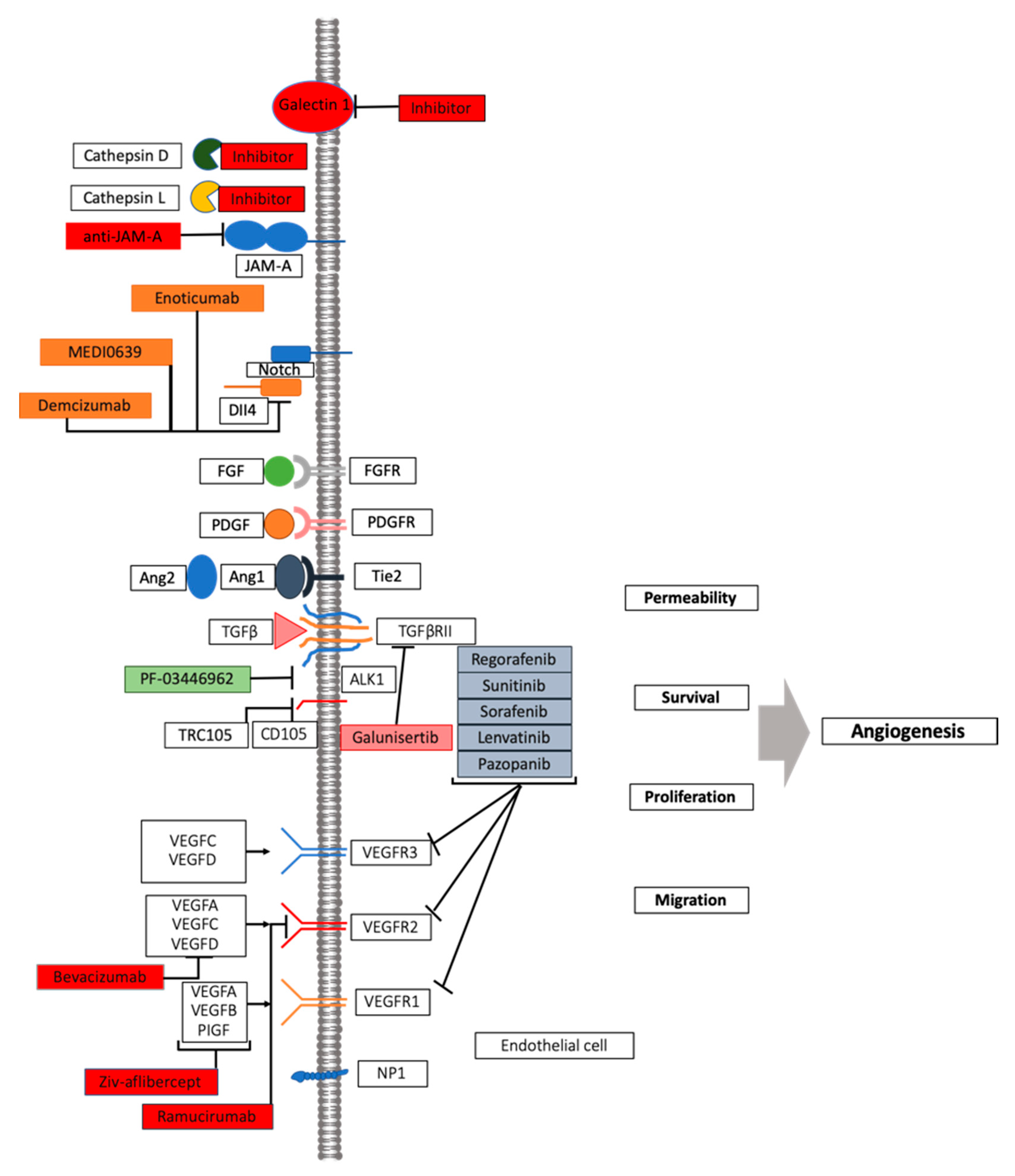 Cancers 13 03433 g002 Cancers 13 03433 g002