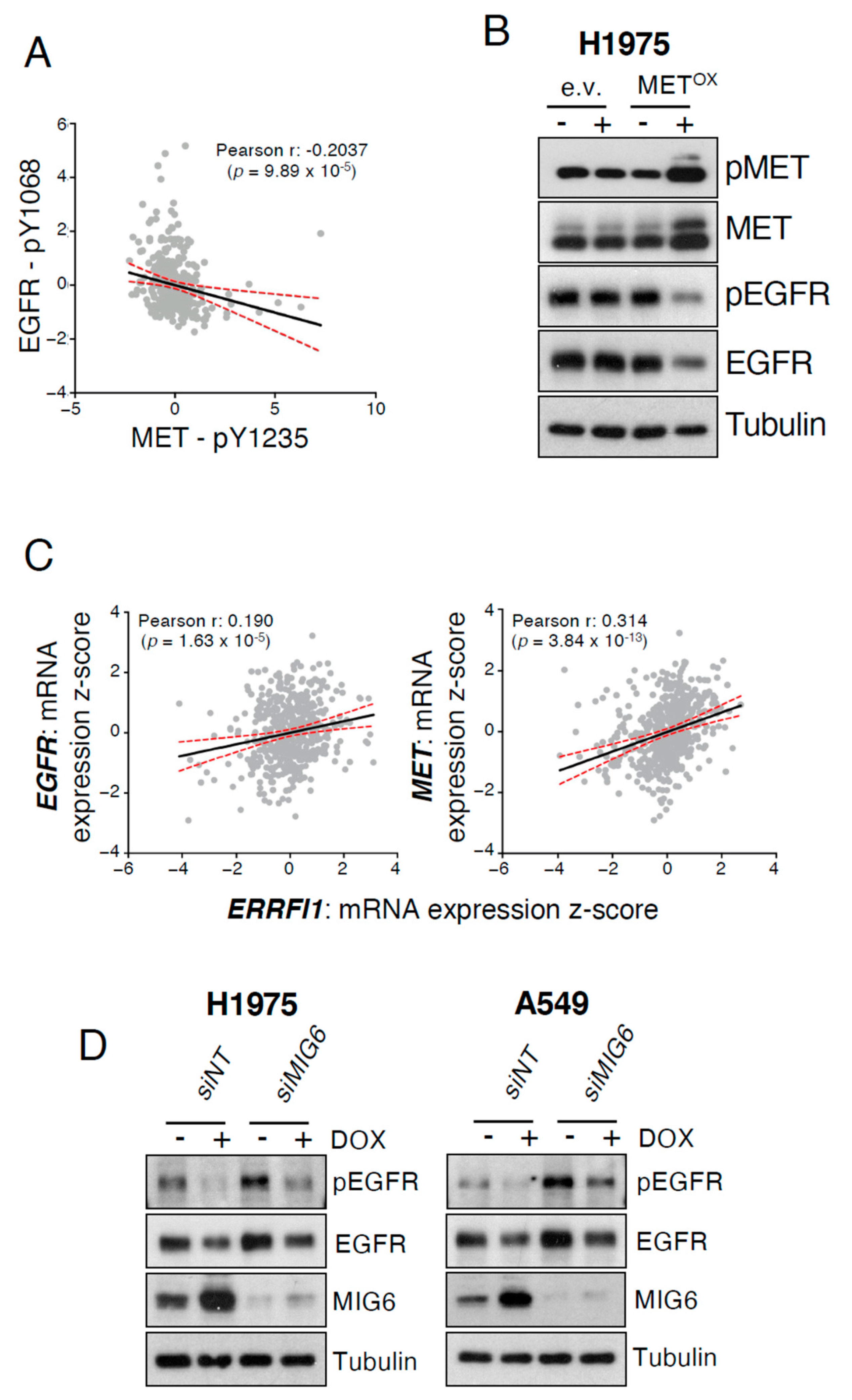 Cancers 13 03441 g002