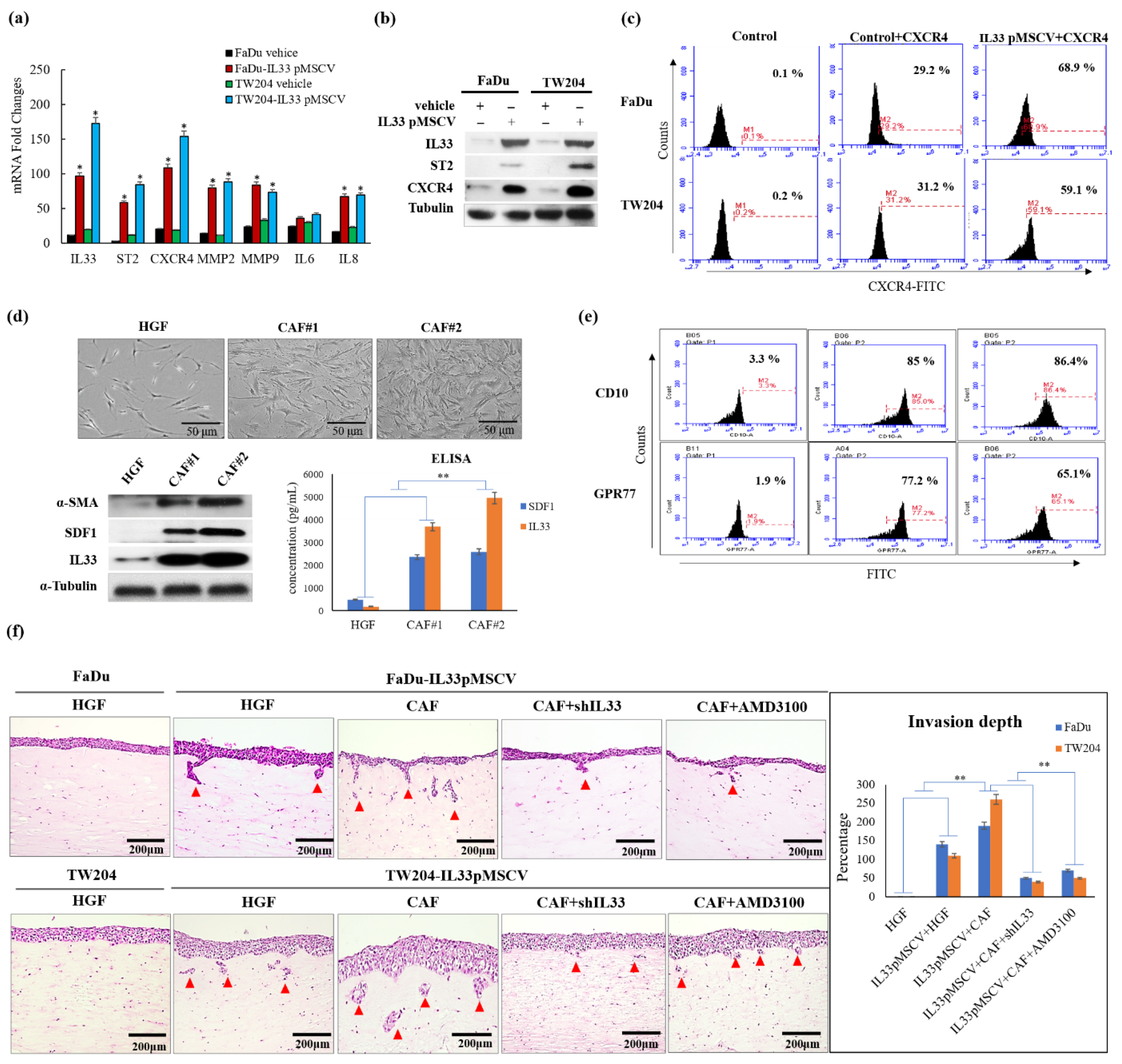 Cancers 13 03442 g001