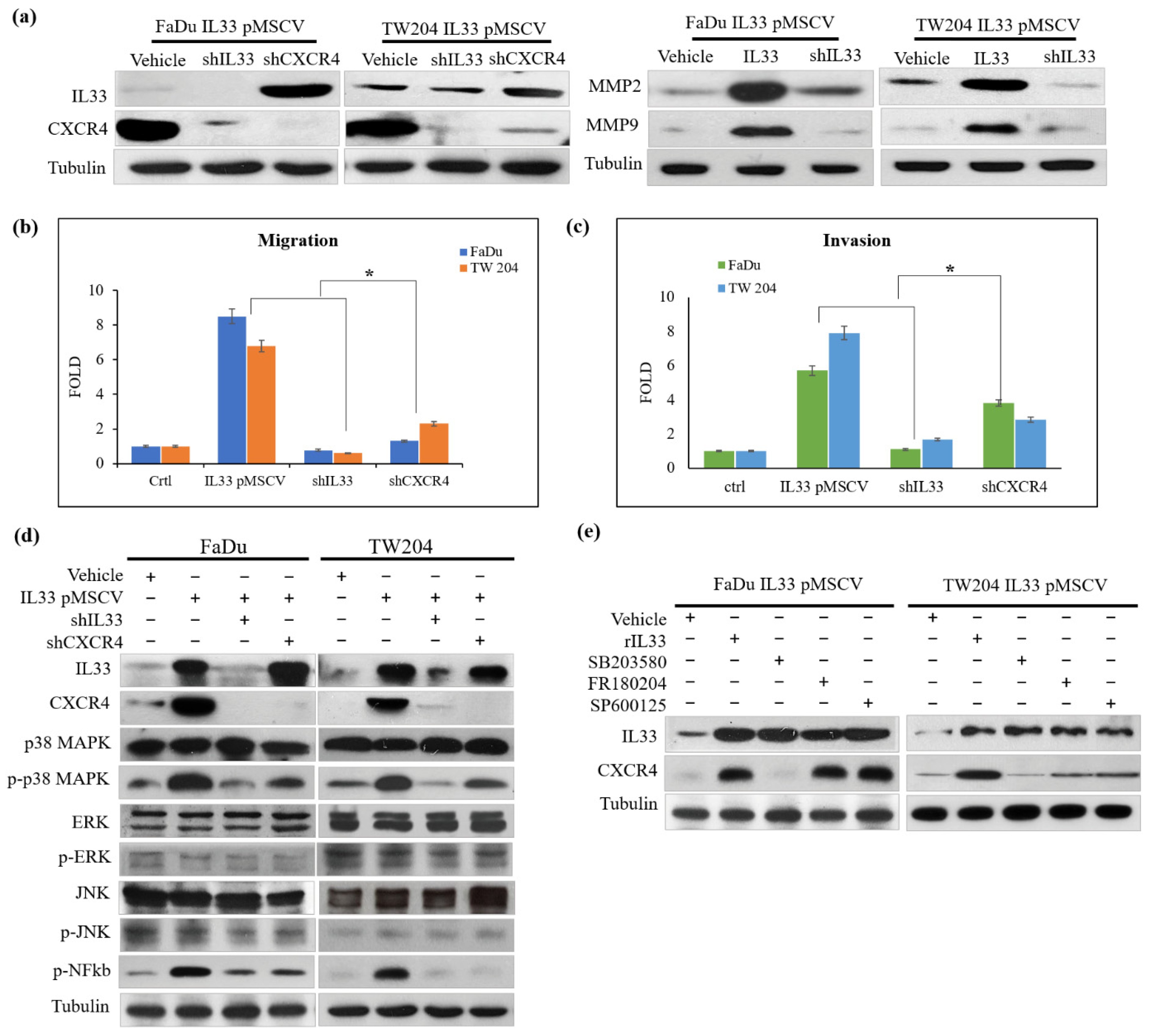 Cancers 13 03442 g002