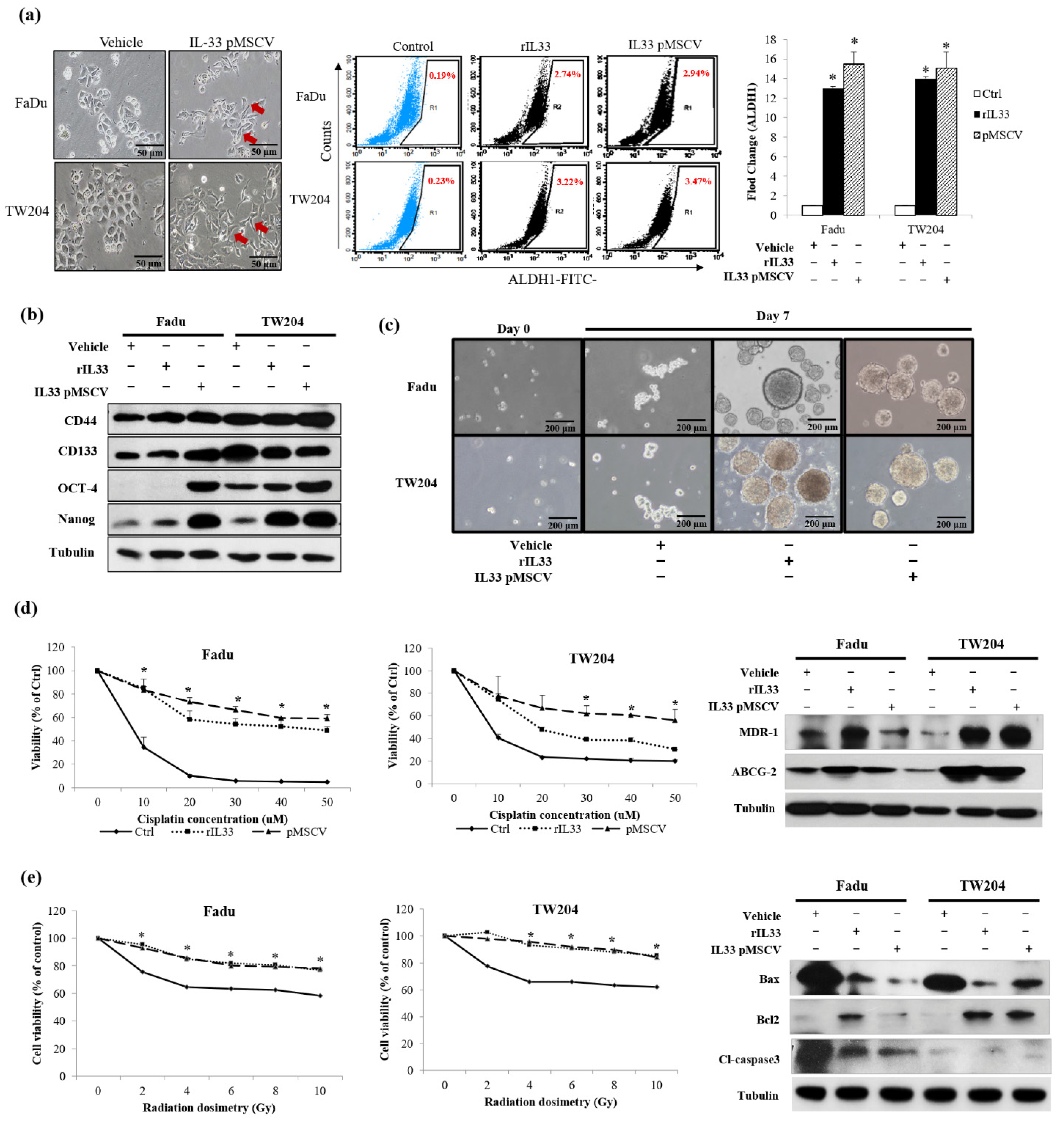 Cancers 13 03442 g003