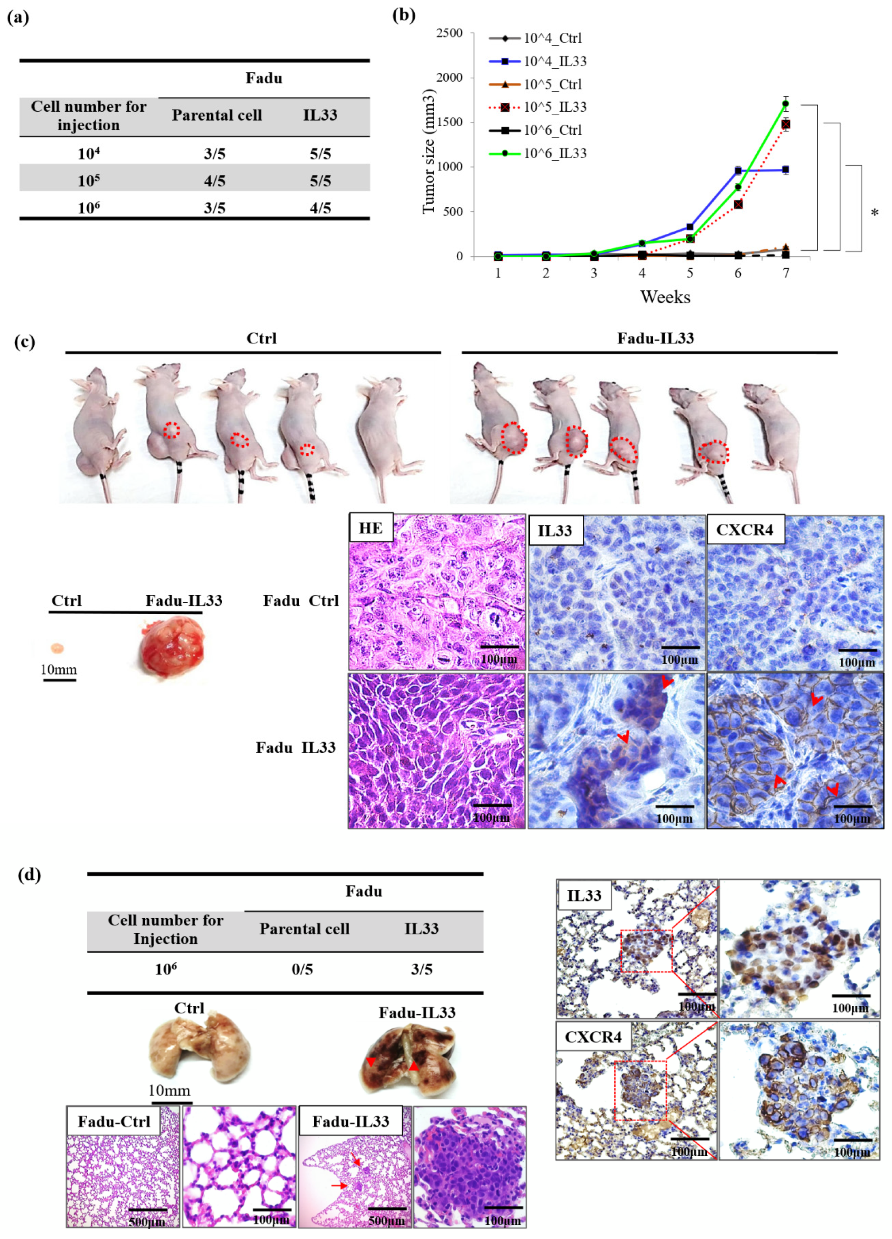 Cancers 13 03442 g004