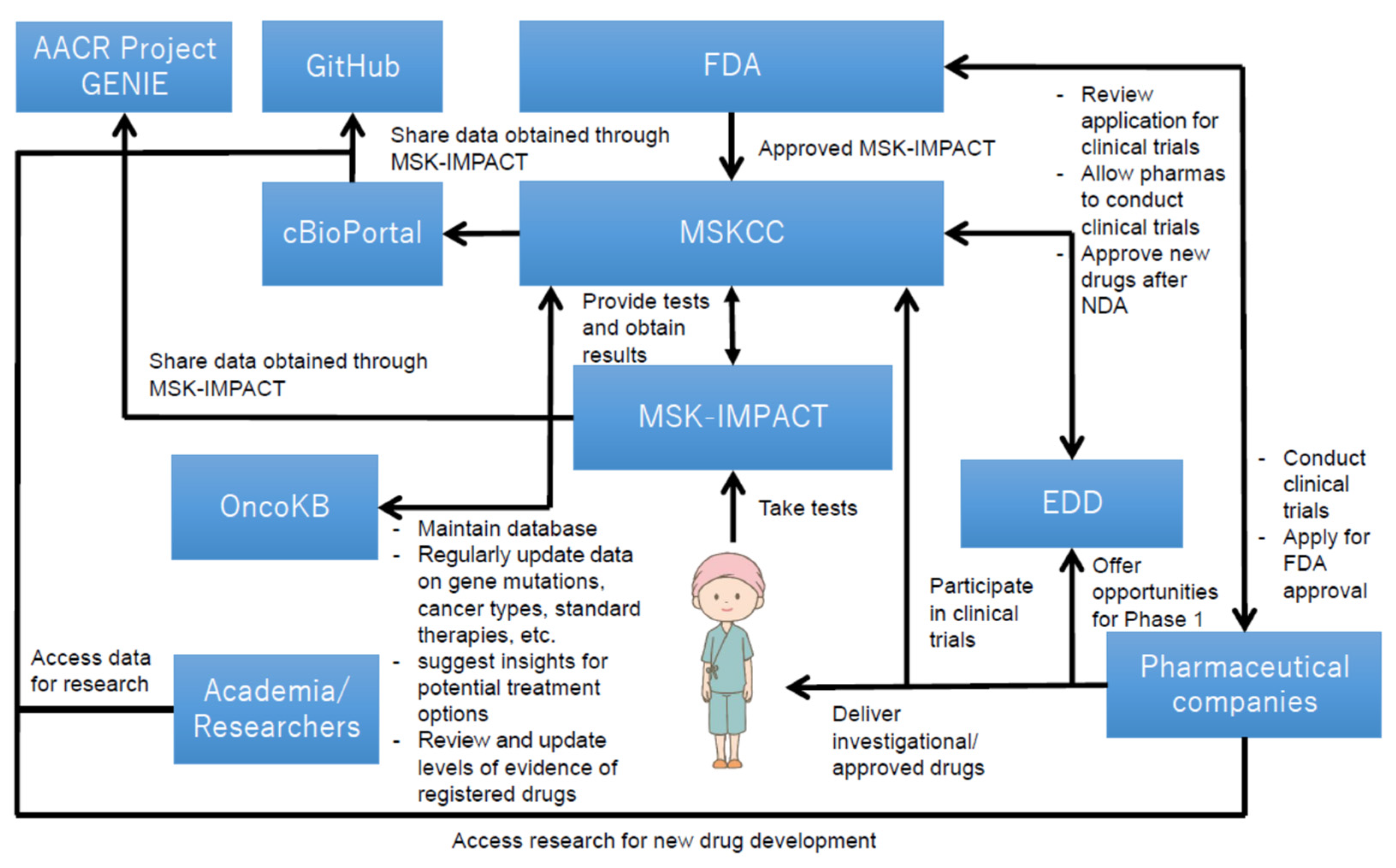Cancers 13 03448 g003 Cancers 13 03448 g003