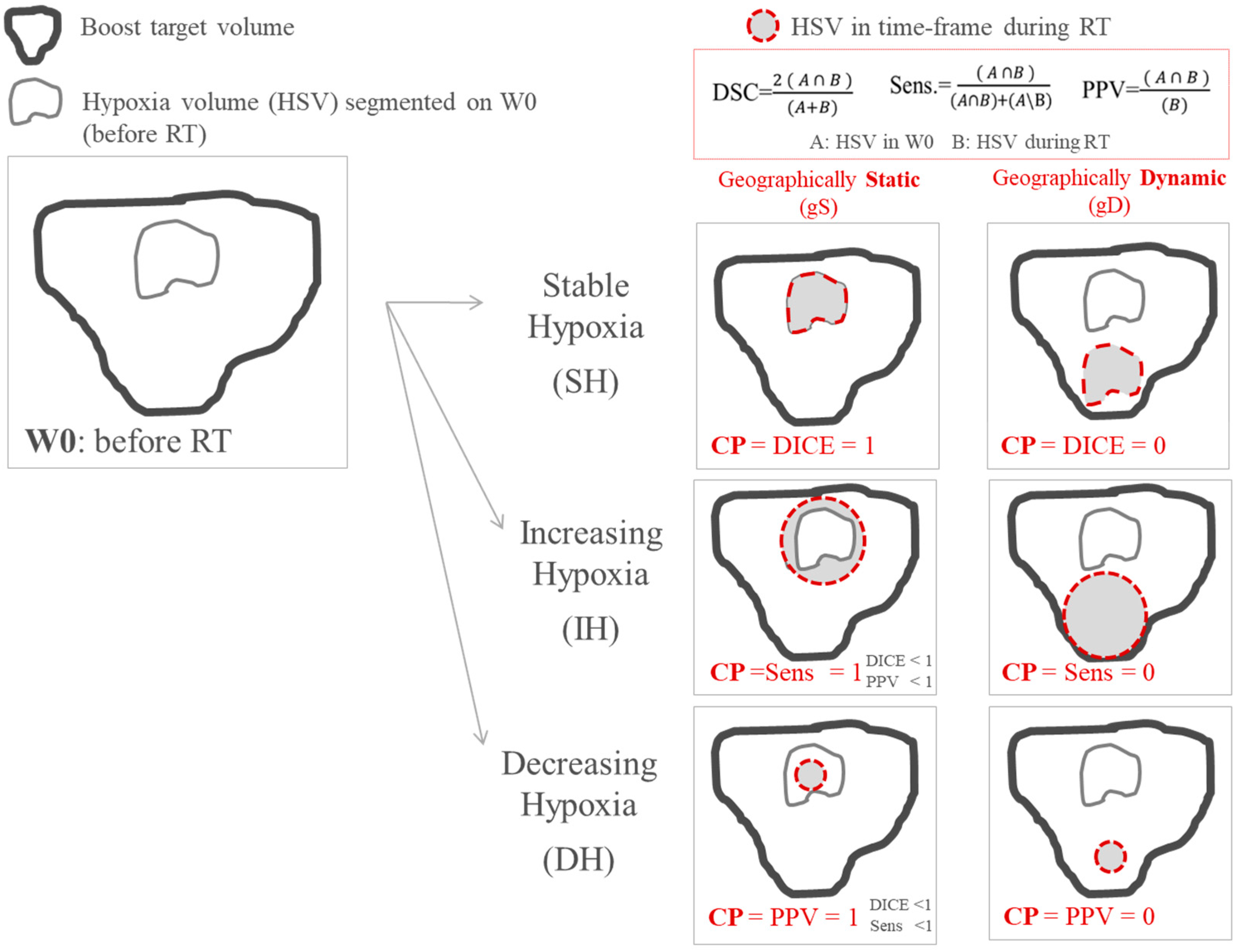 Cancers 13 03449 g001