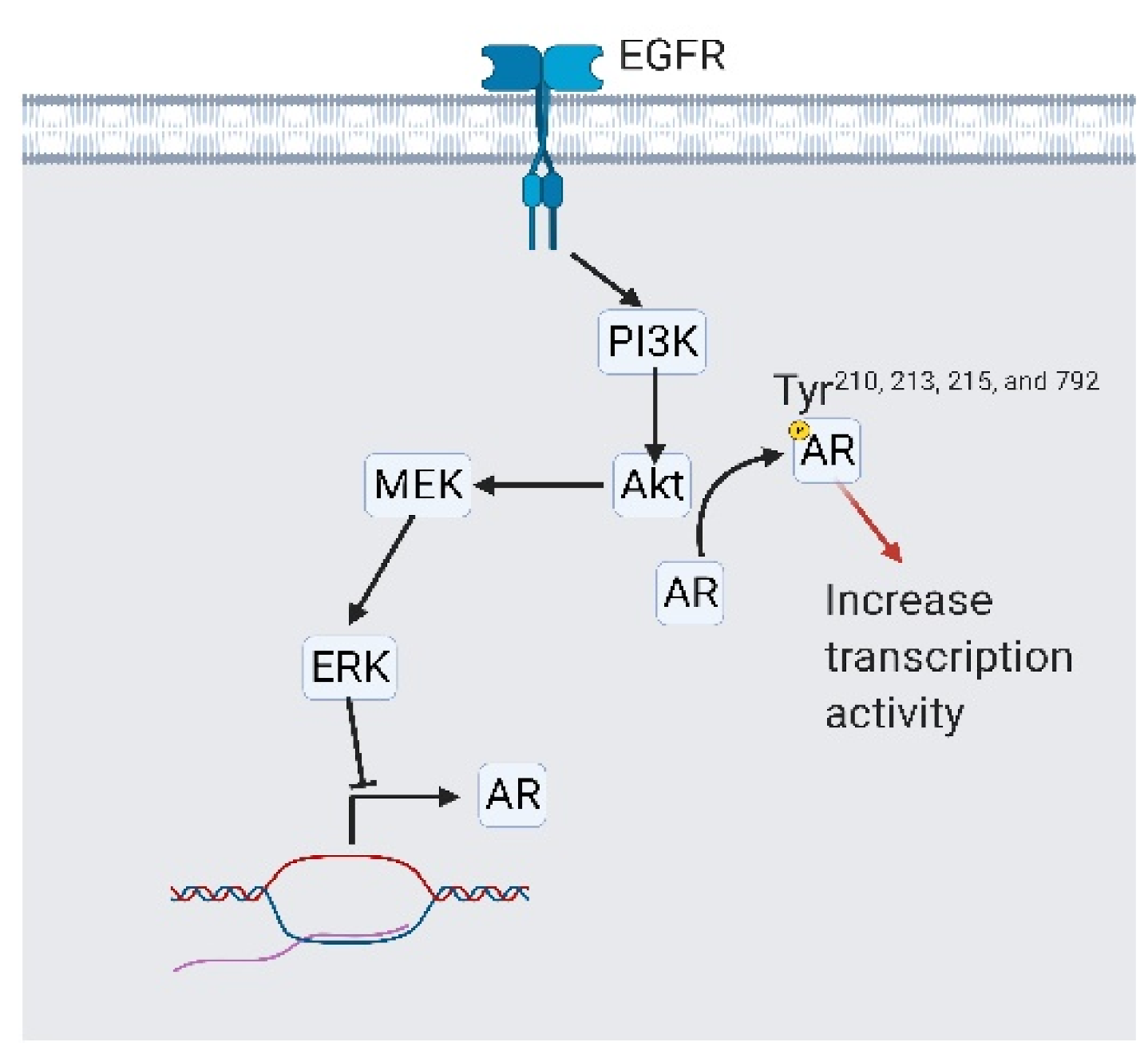 Cancers 13 03452 g007 Cancers 13 03452 g007