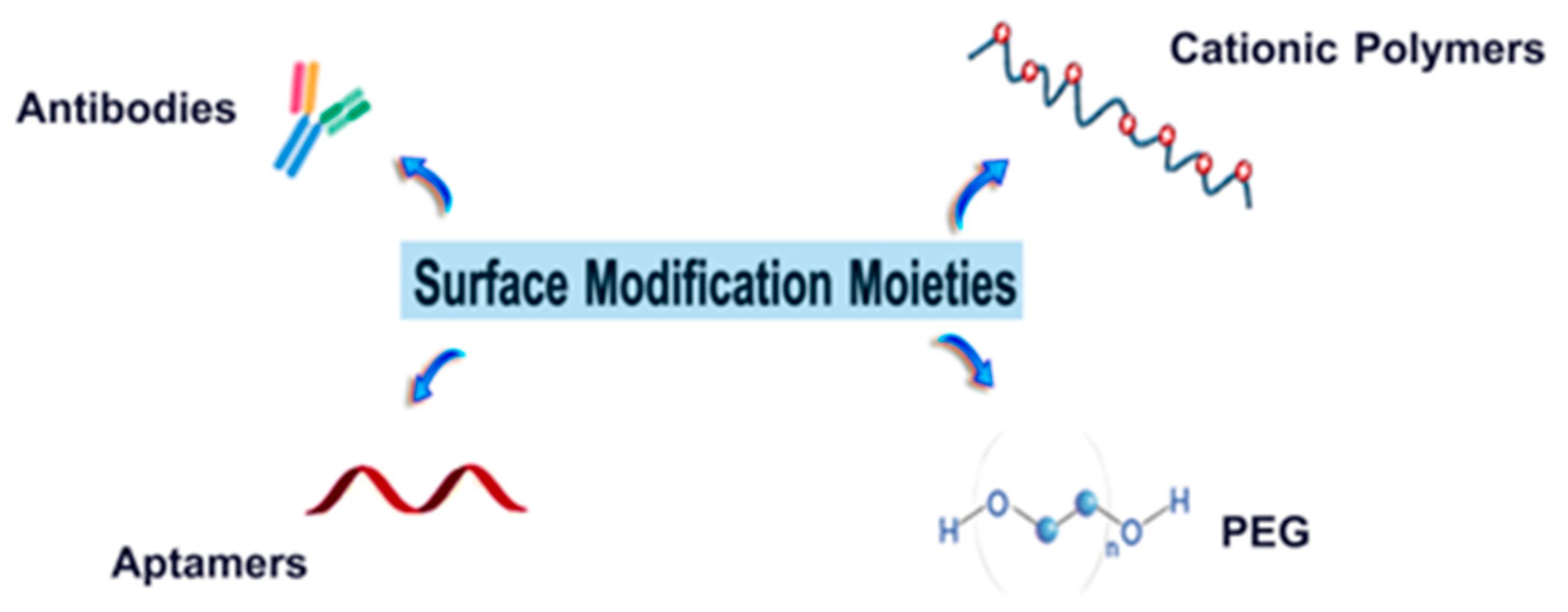 Cancers 13 03454 g003 Cancers 13 03454 g003