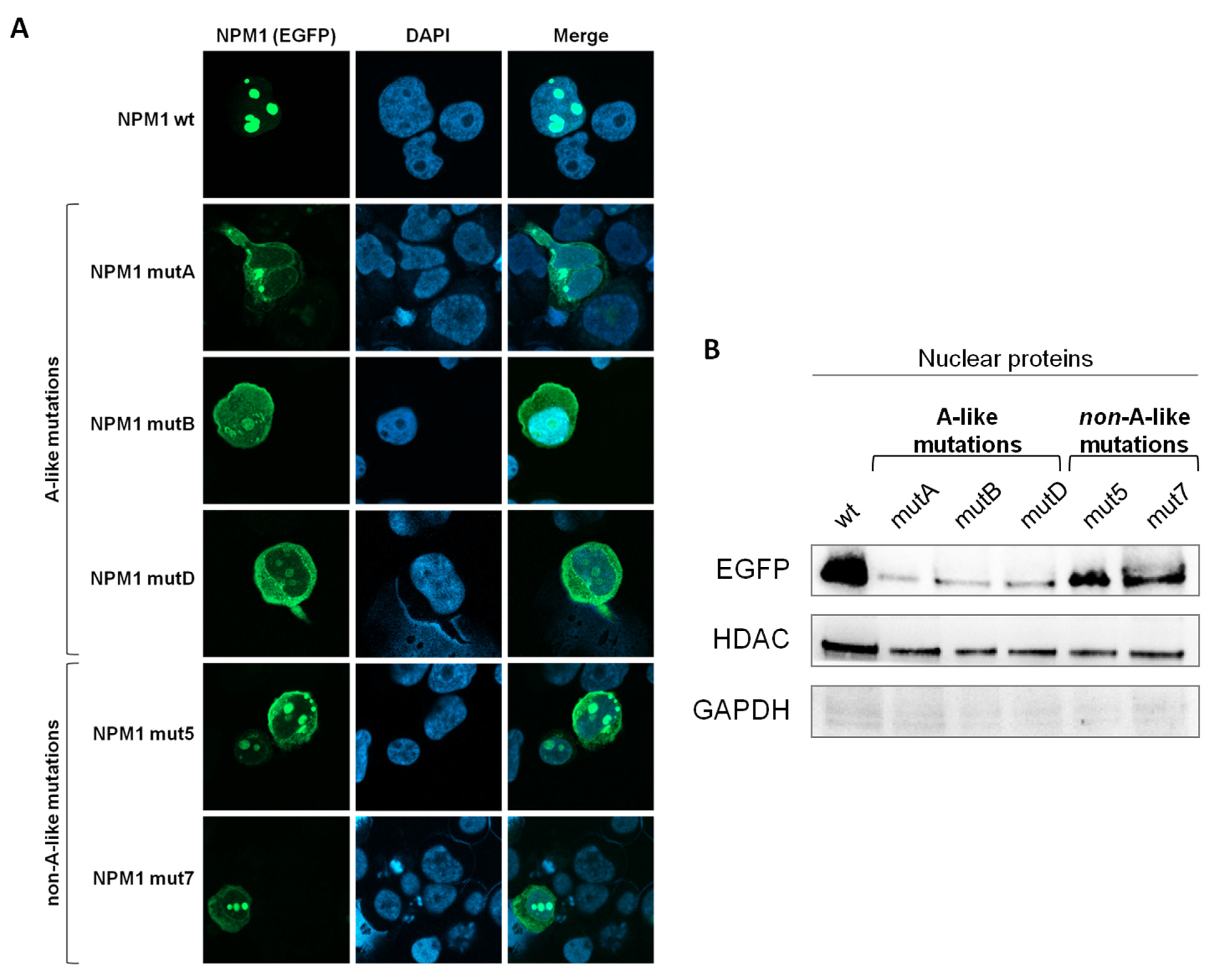 Cancers 13 03457 g001 Cancers 13 03457 g001