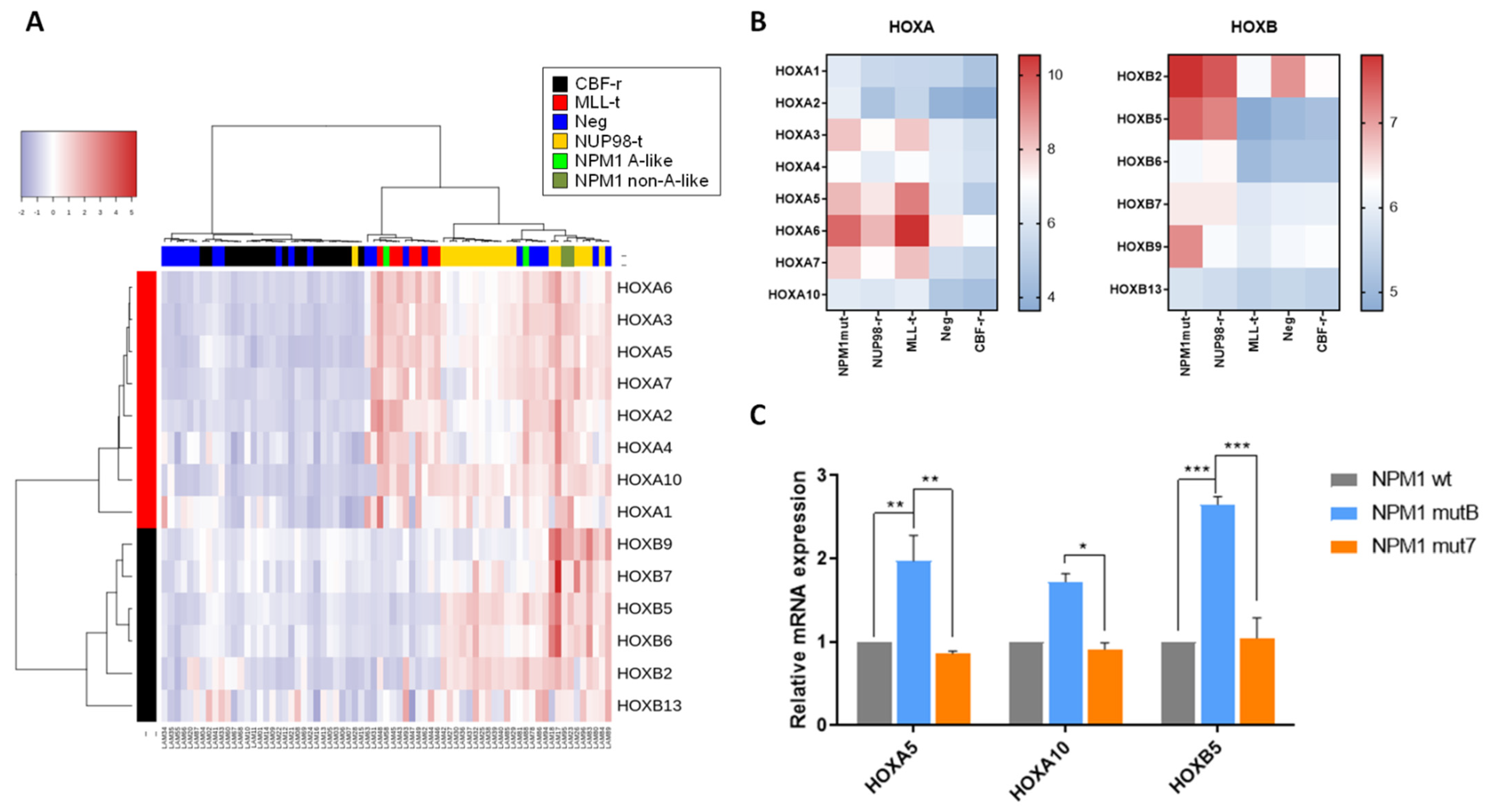 Cancers 13 03457 g002 Cancers 13 03457 g002