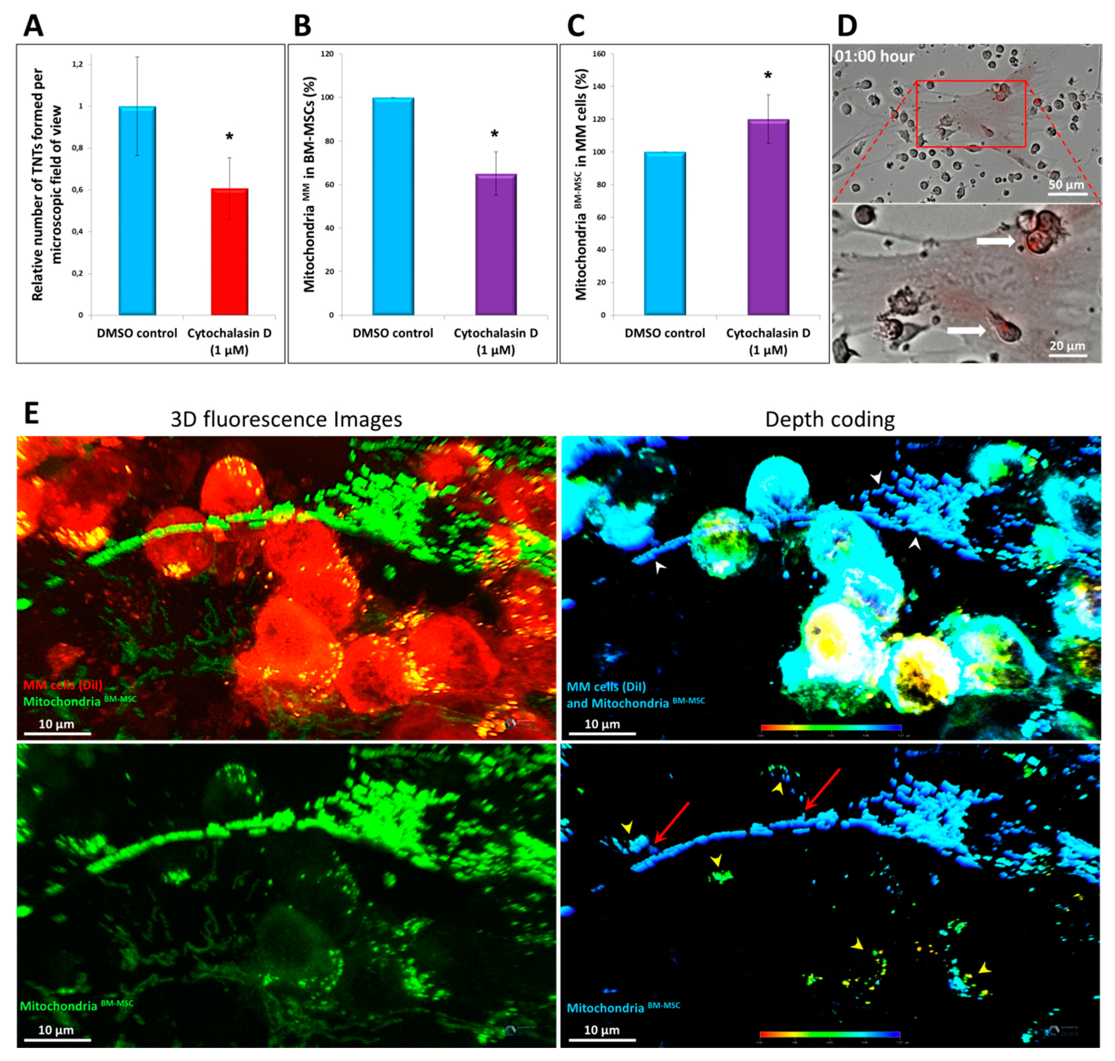 Cancers 13 03461 g007 550