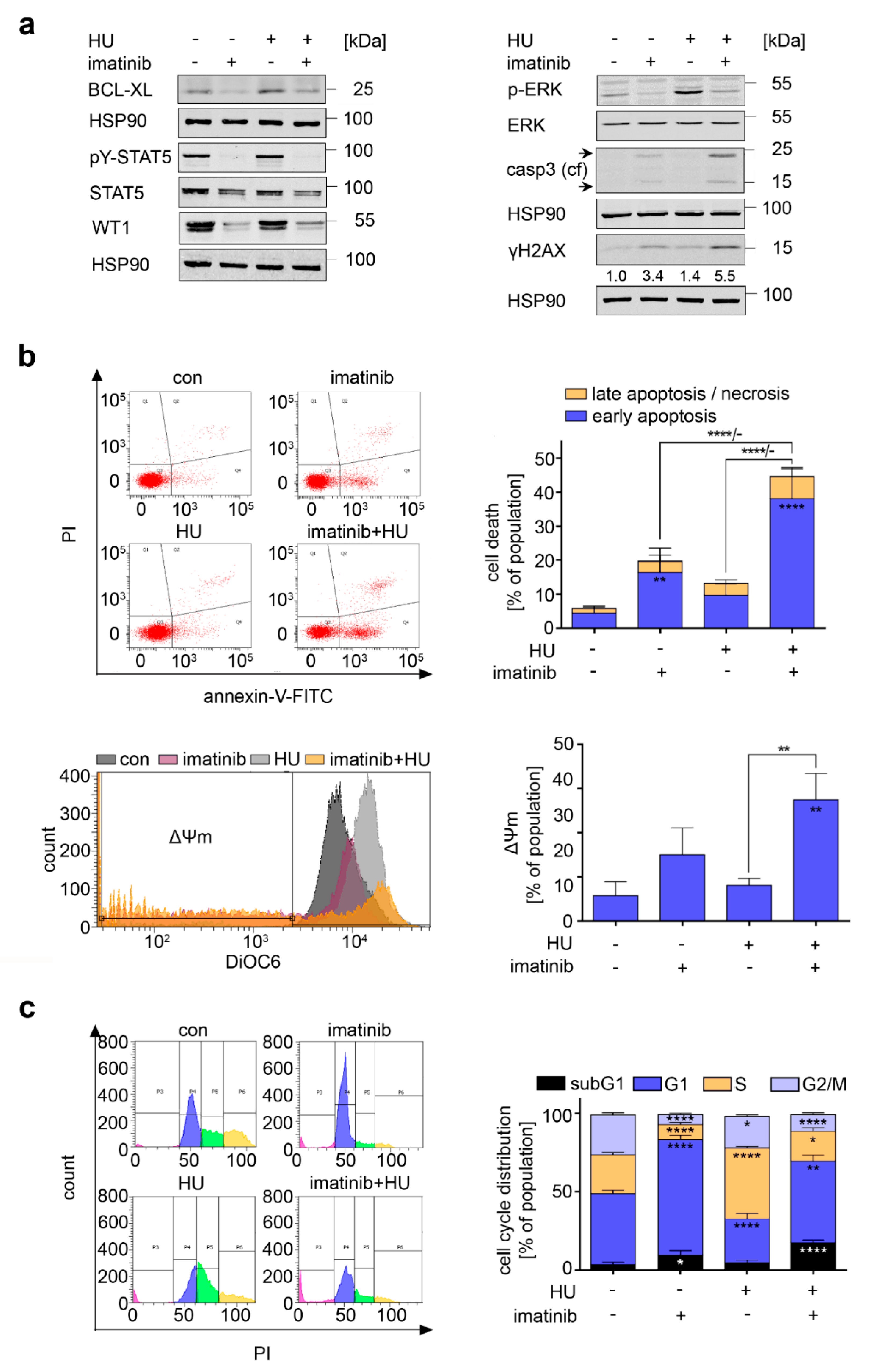 Cancers 13 03464 g004 Cancers 13 03464 g004