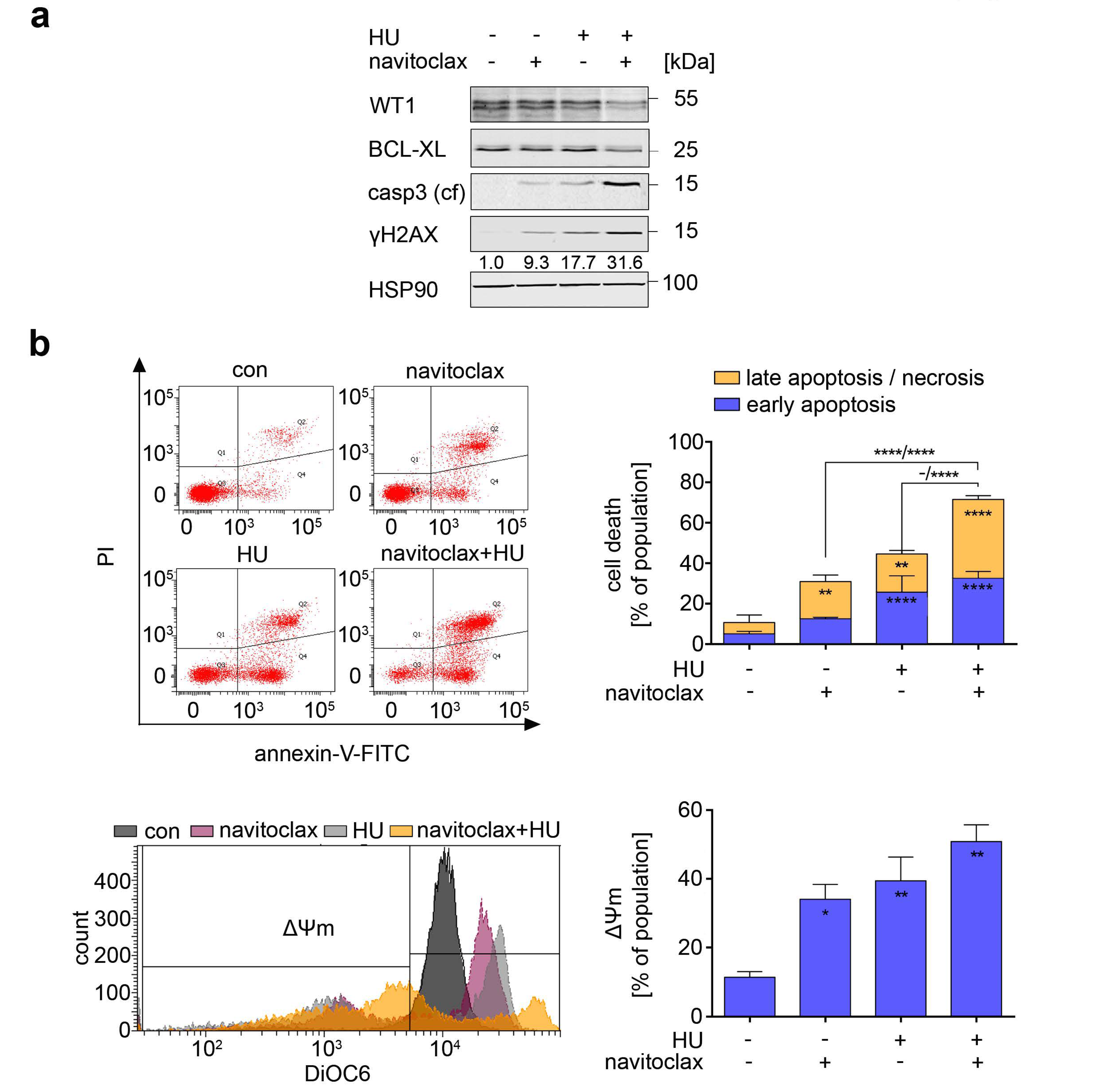 Cancers 13 03464 g007a Cancers 13 03464 g007a