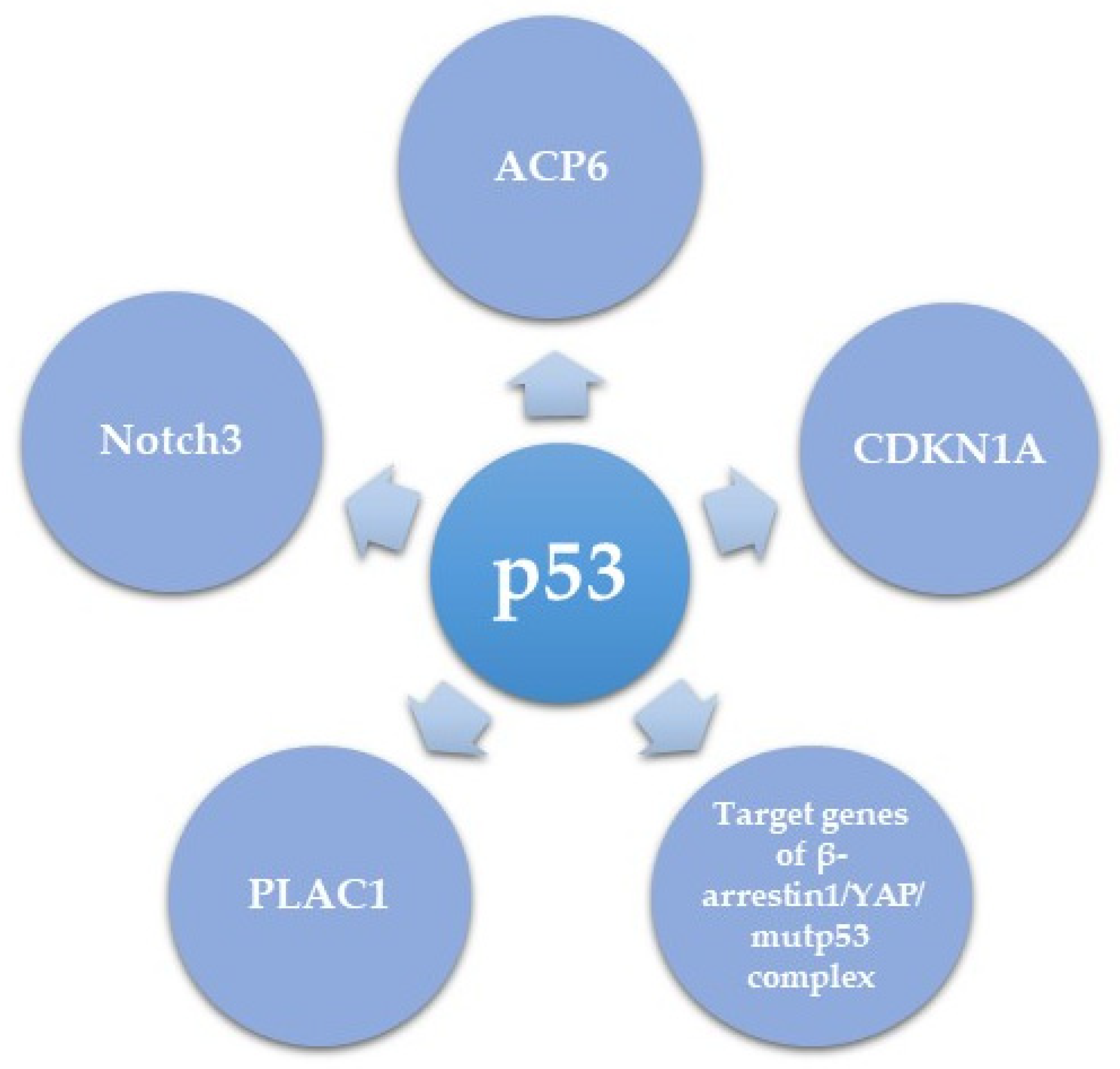 Cancers 13 03465 g003