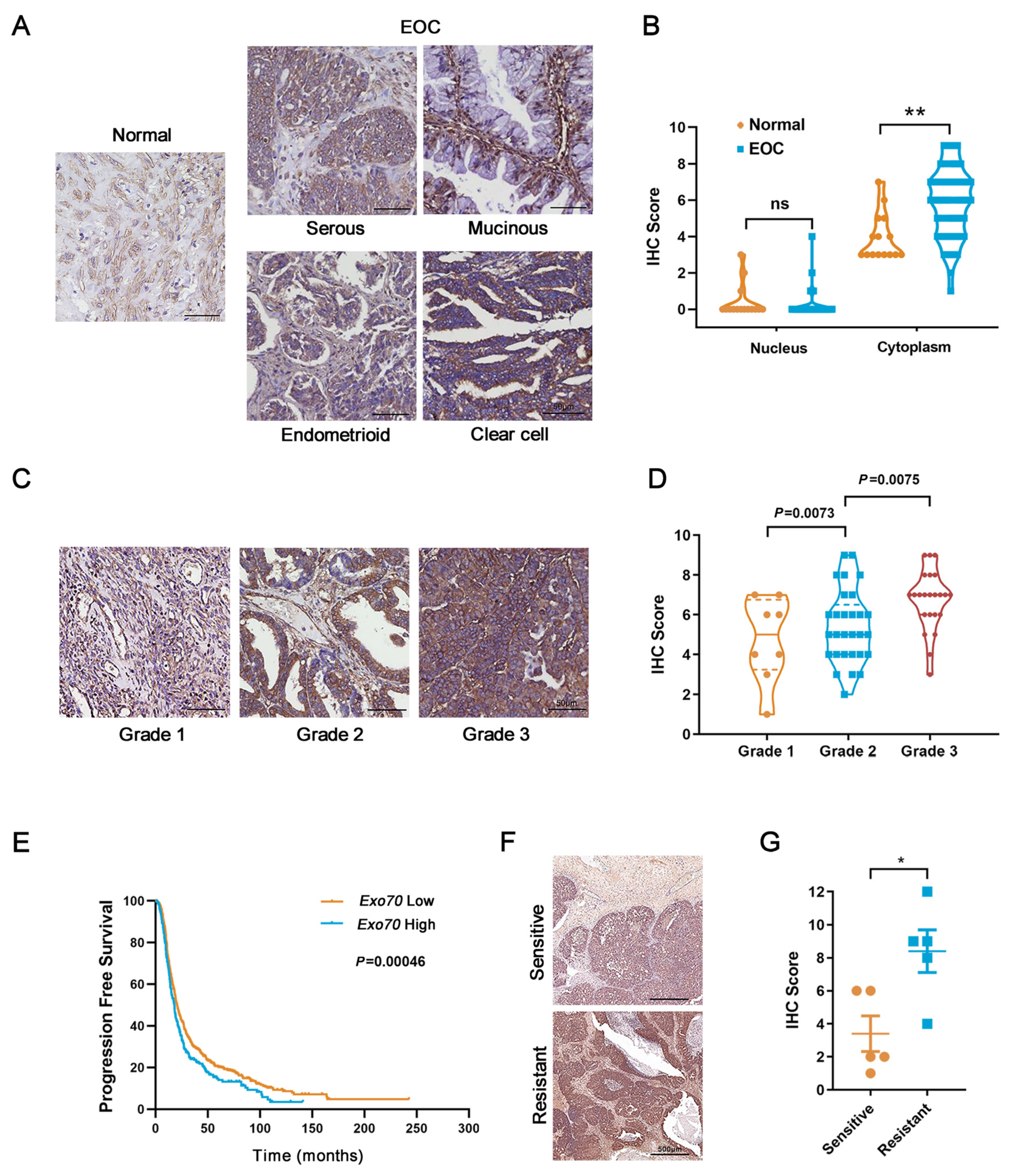 Cancers 13 03467 g001