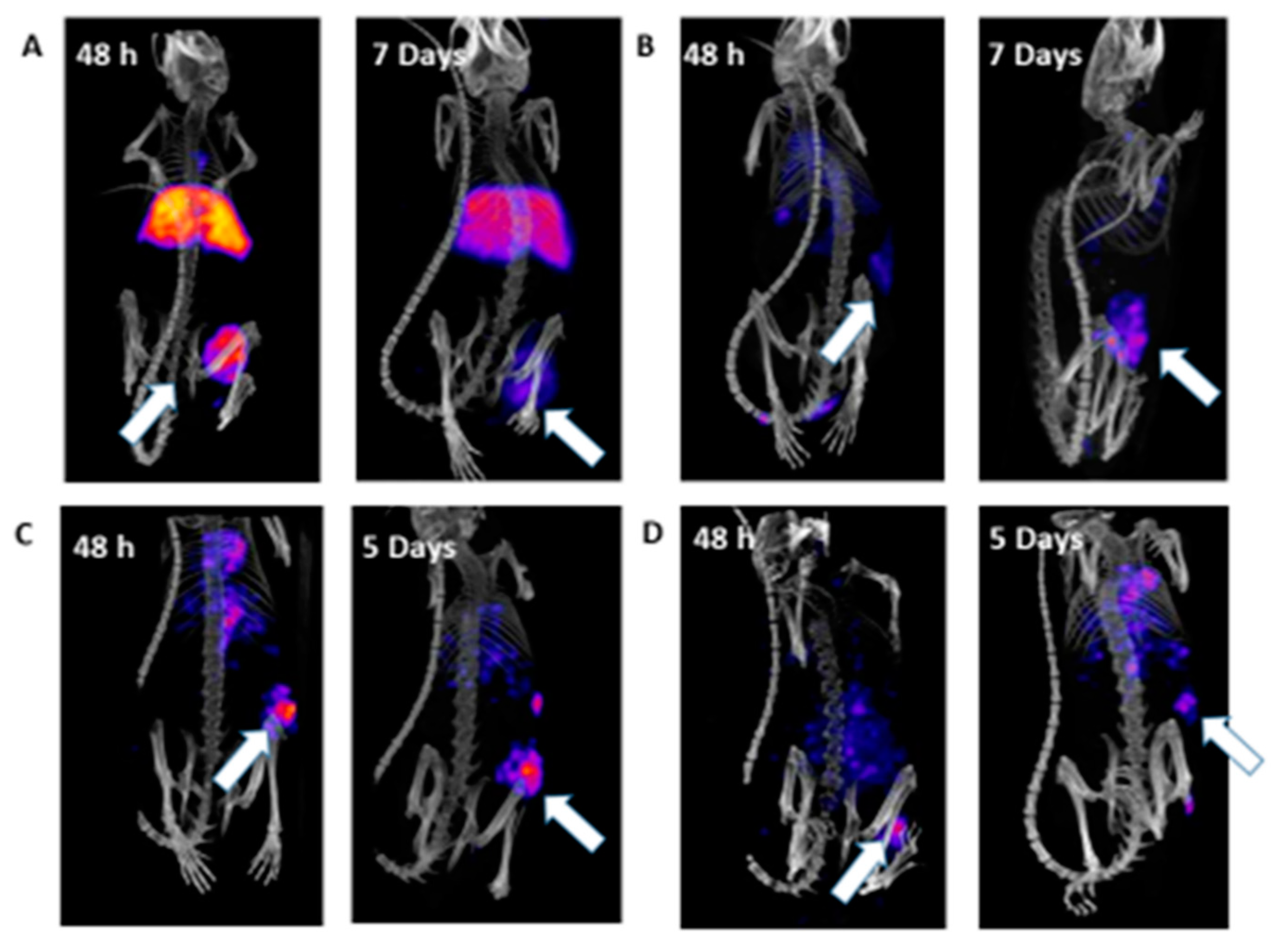 Cancers 13 03469 g001