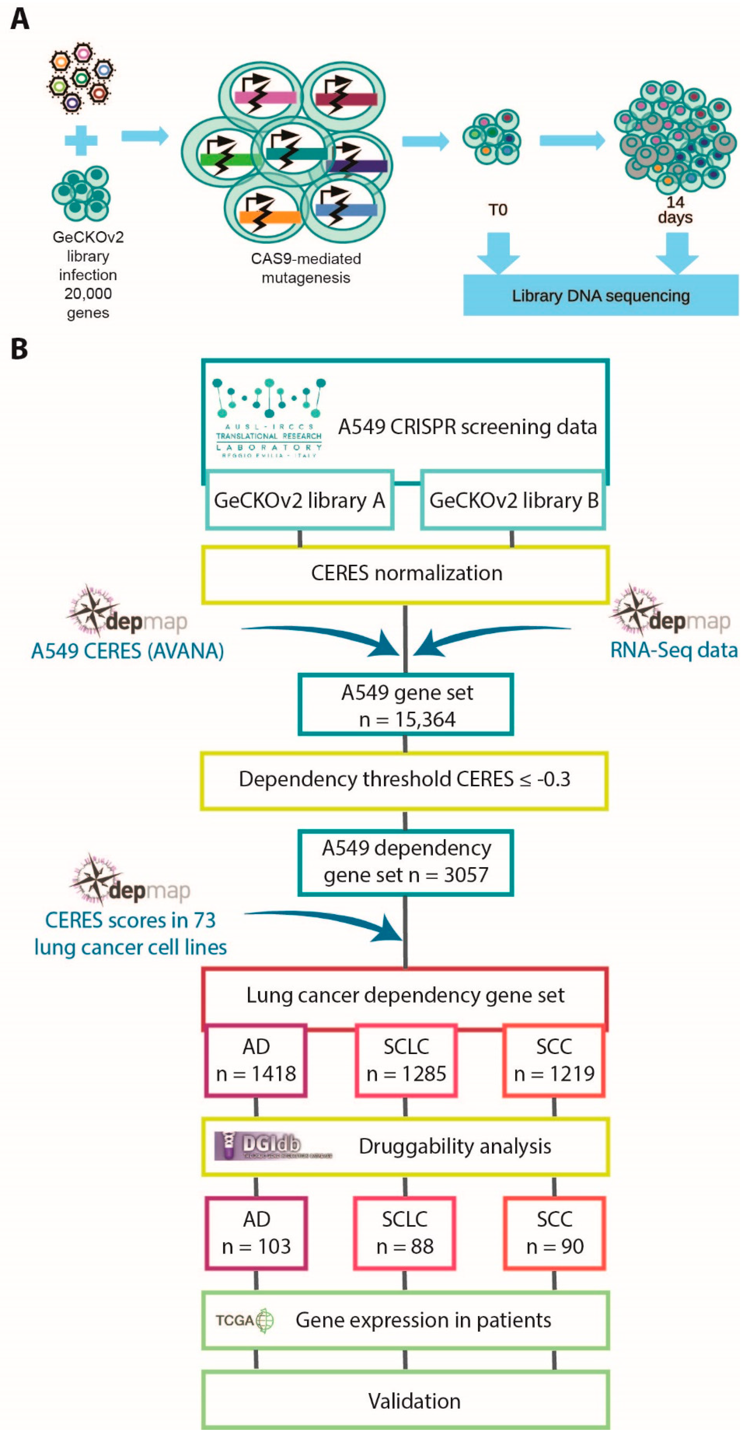 Cancers 13 03477 g001