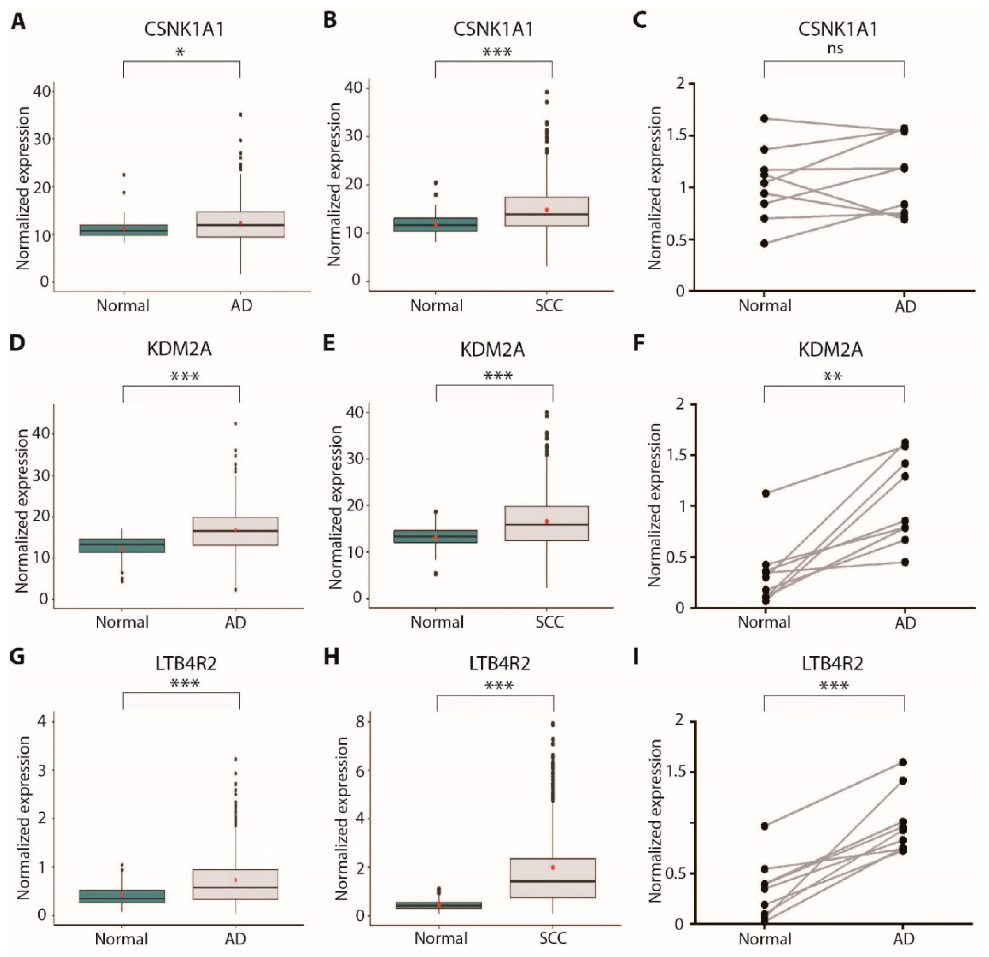 Cancers 13 03477 g005