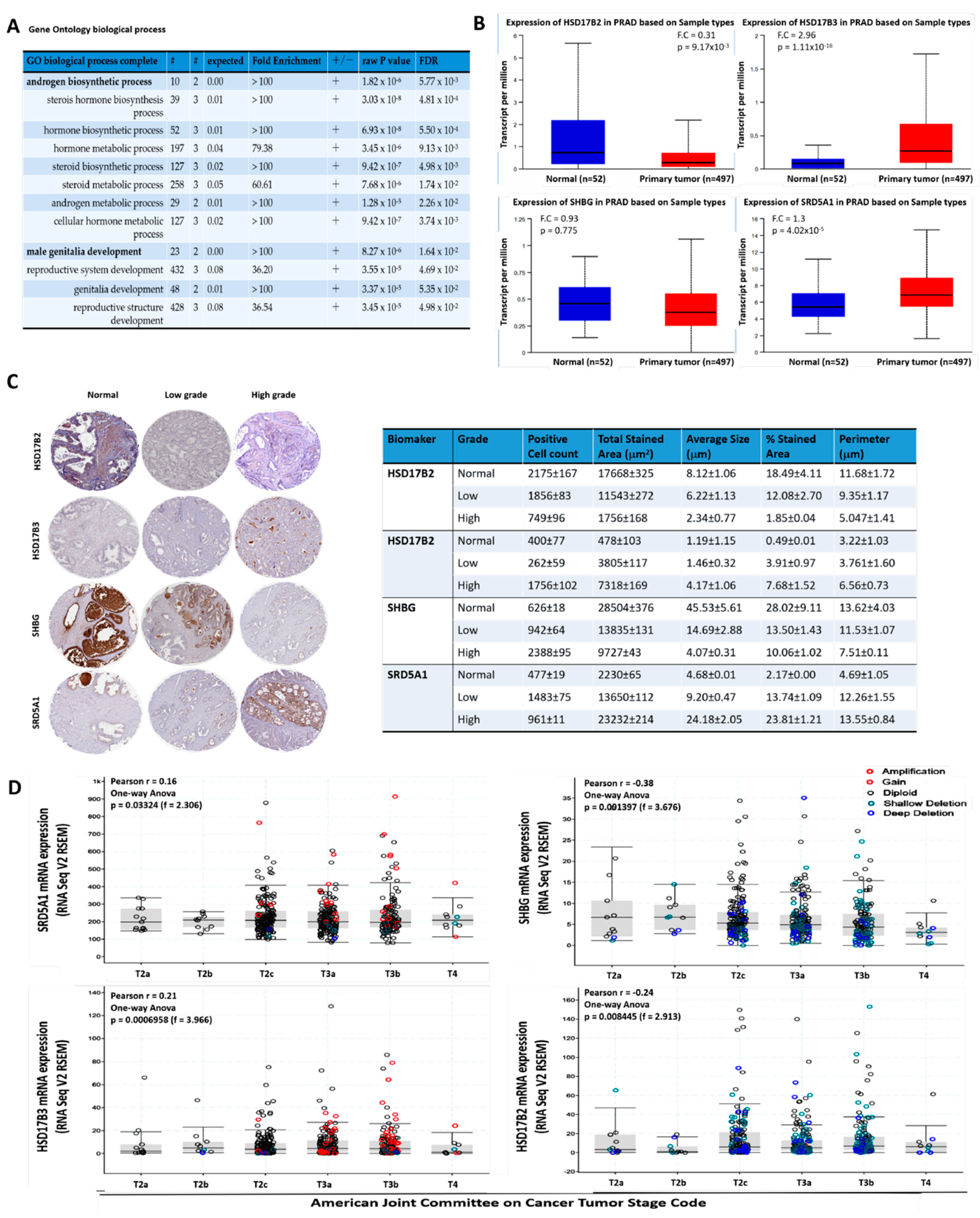 Cancers 13 03478 g001