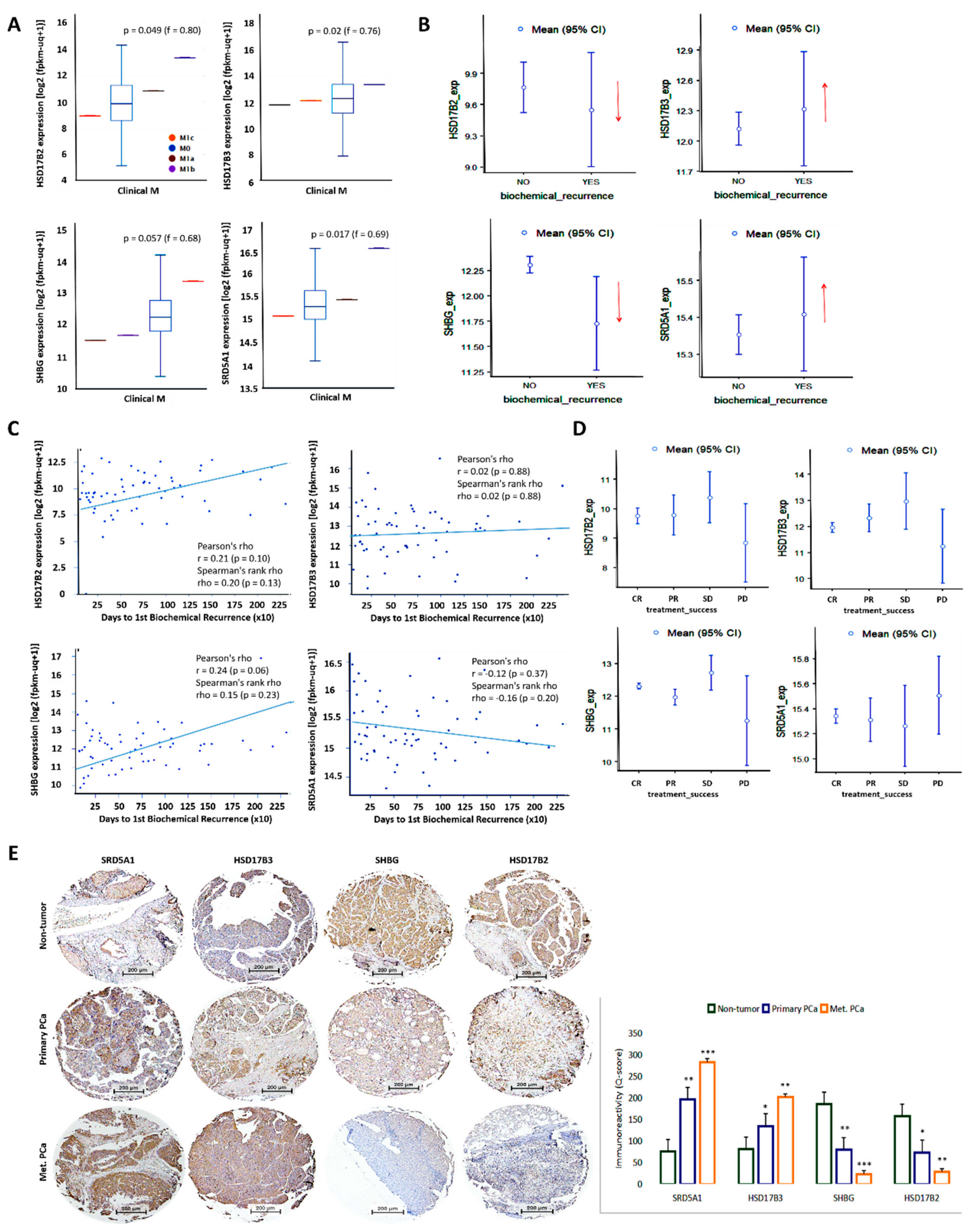 Cancers 13 03478 g003