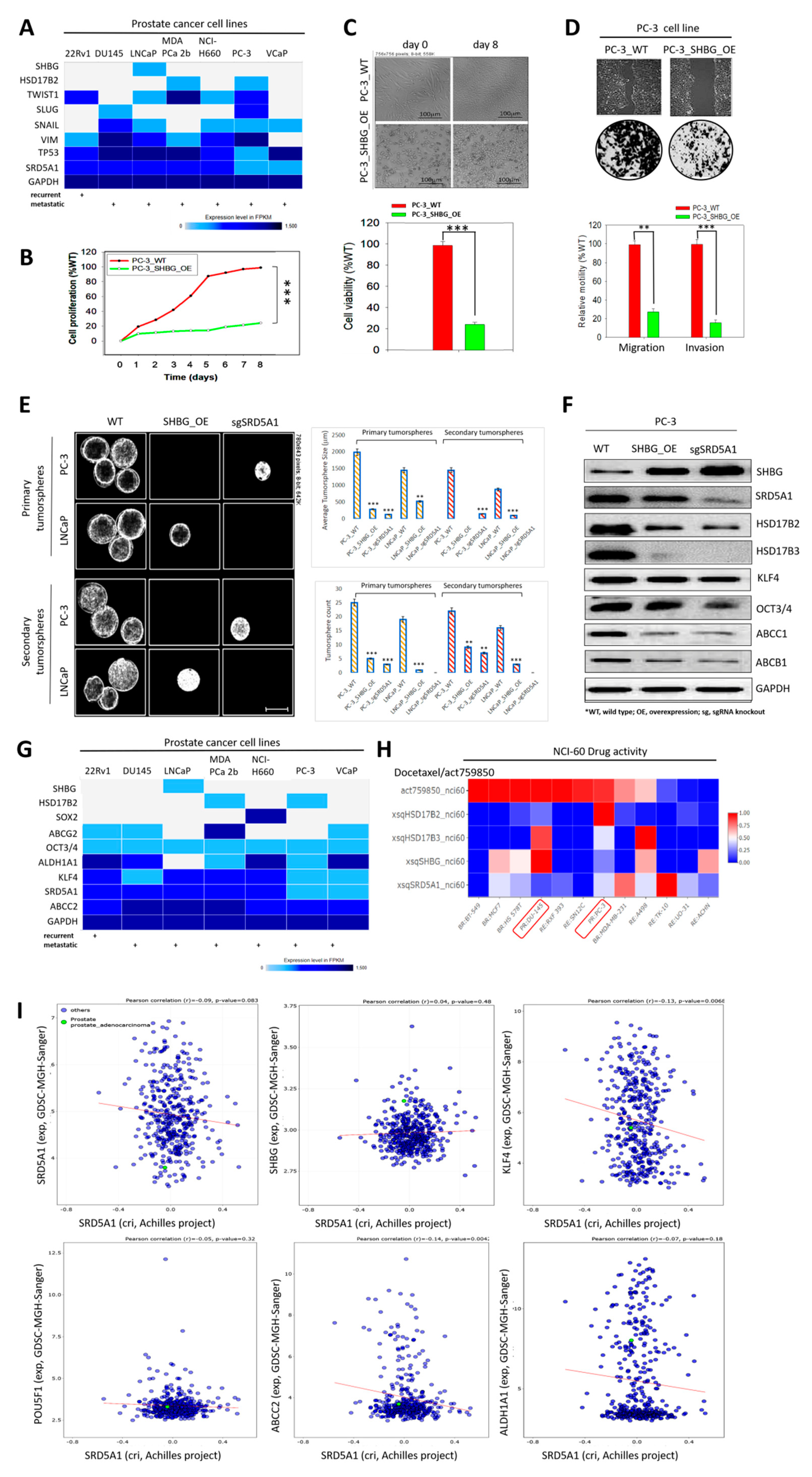 Cancers 13 03478 g005