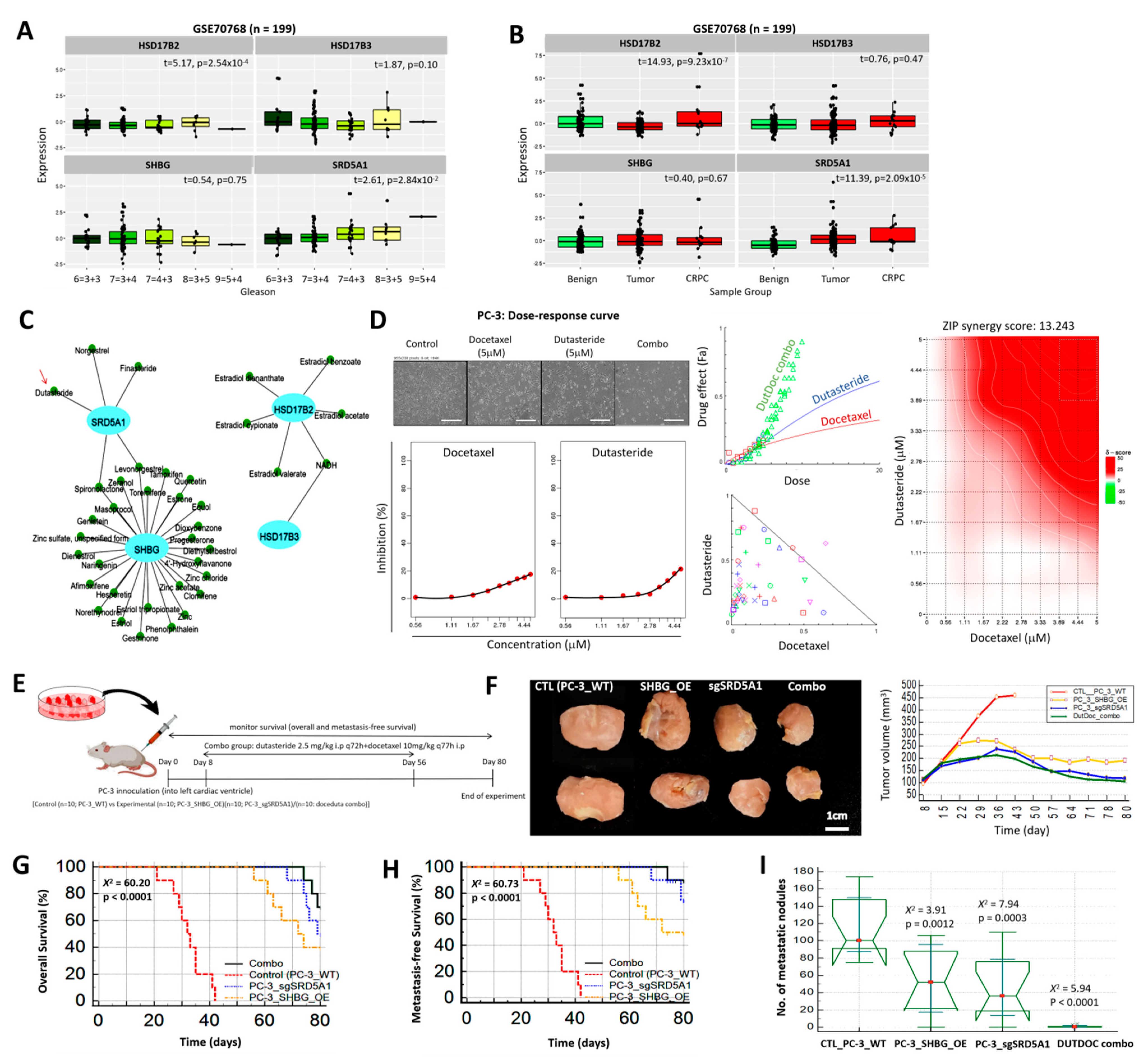 Cancers 13 03478 g007
