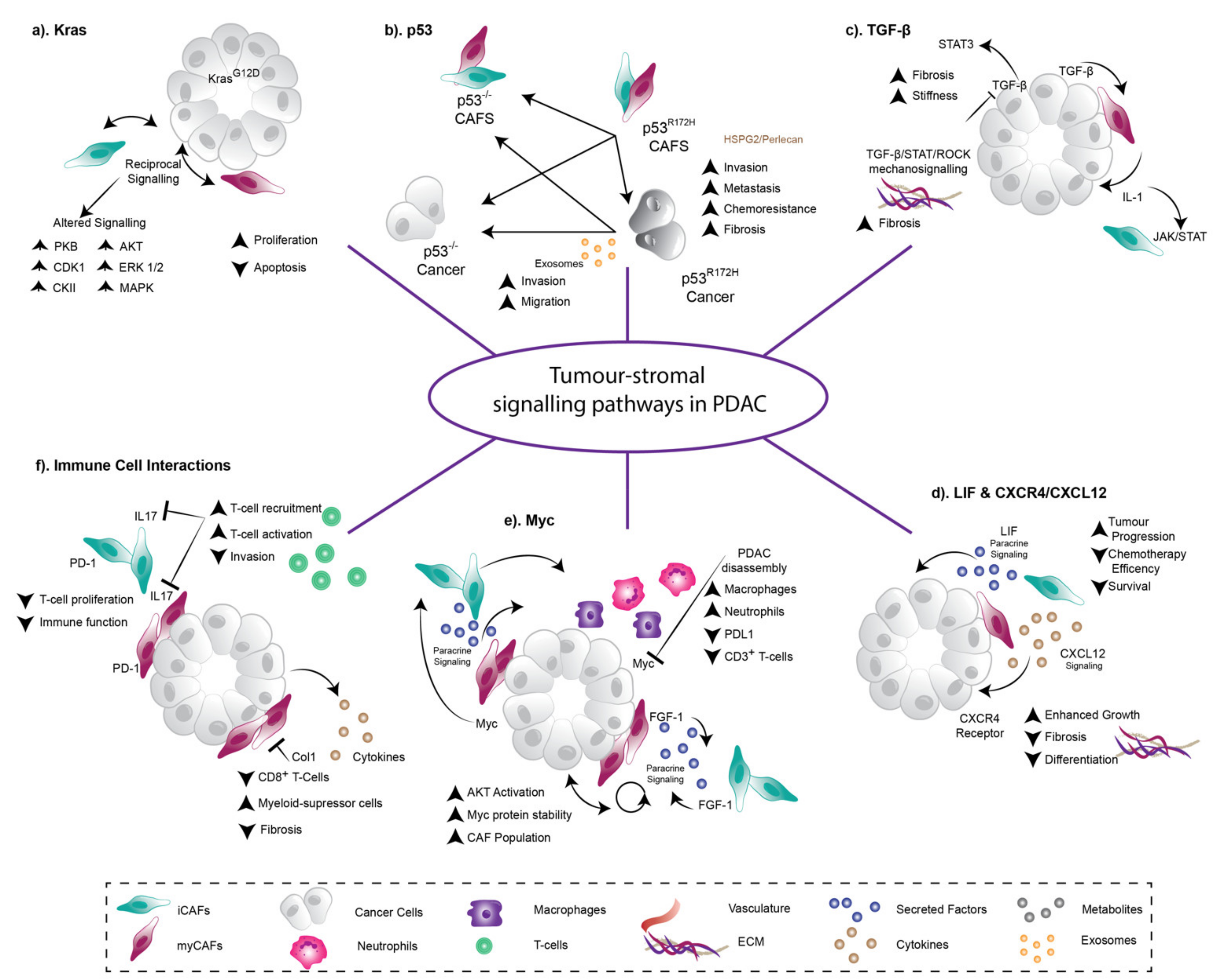 Cancers 13 03481 g002 550