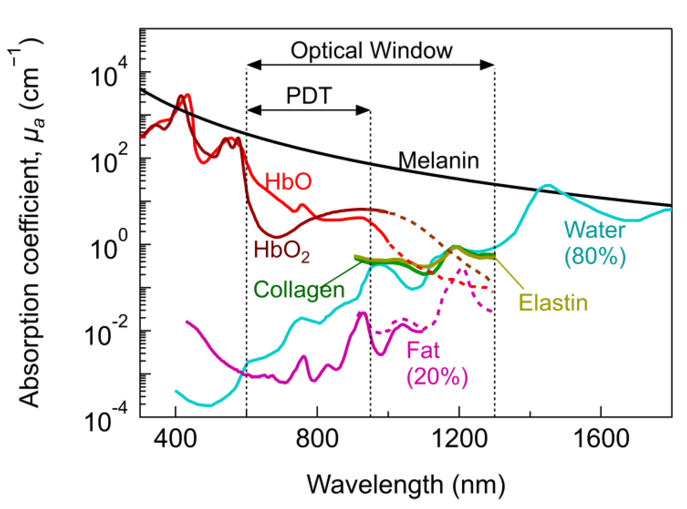 Cancers 13 03484 g001
