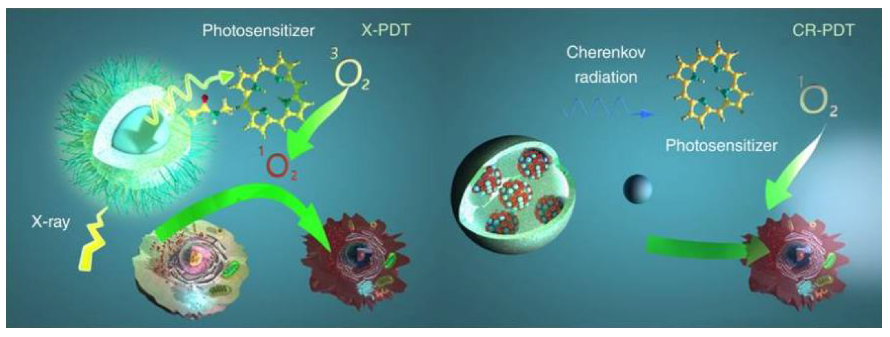 Cancers 13 03484 g007