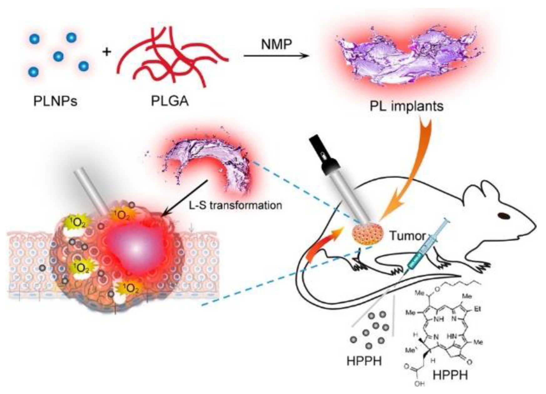Cancers 13 03484 g009