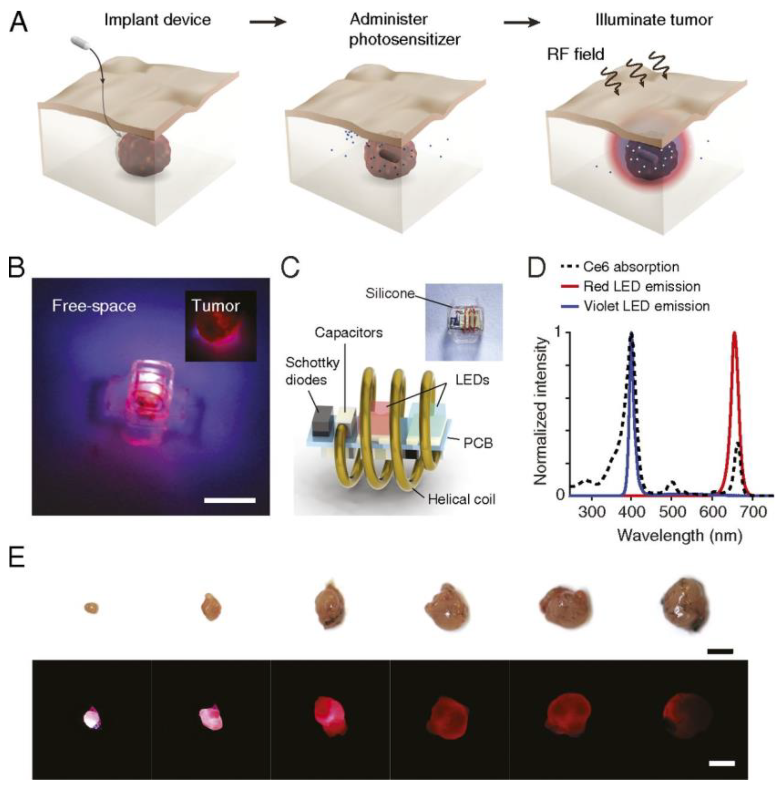 Cancers 13 03484 g010