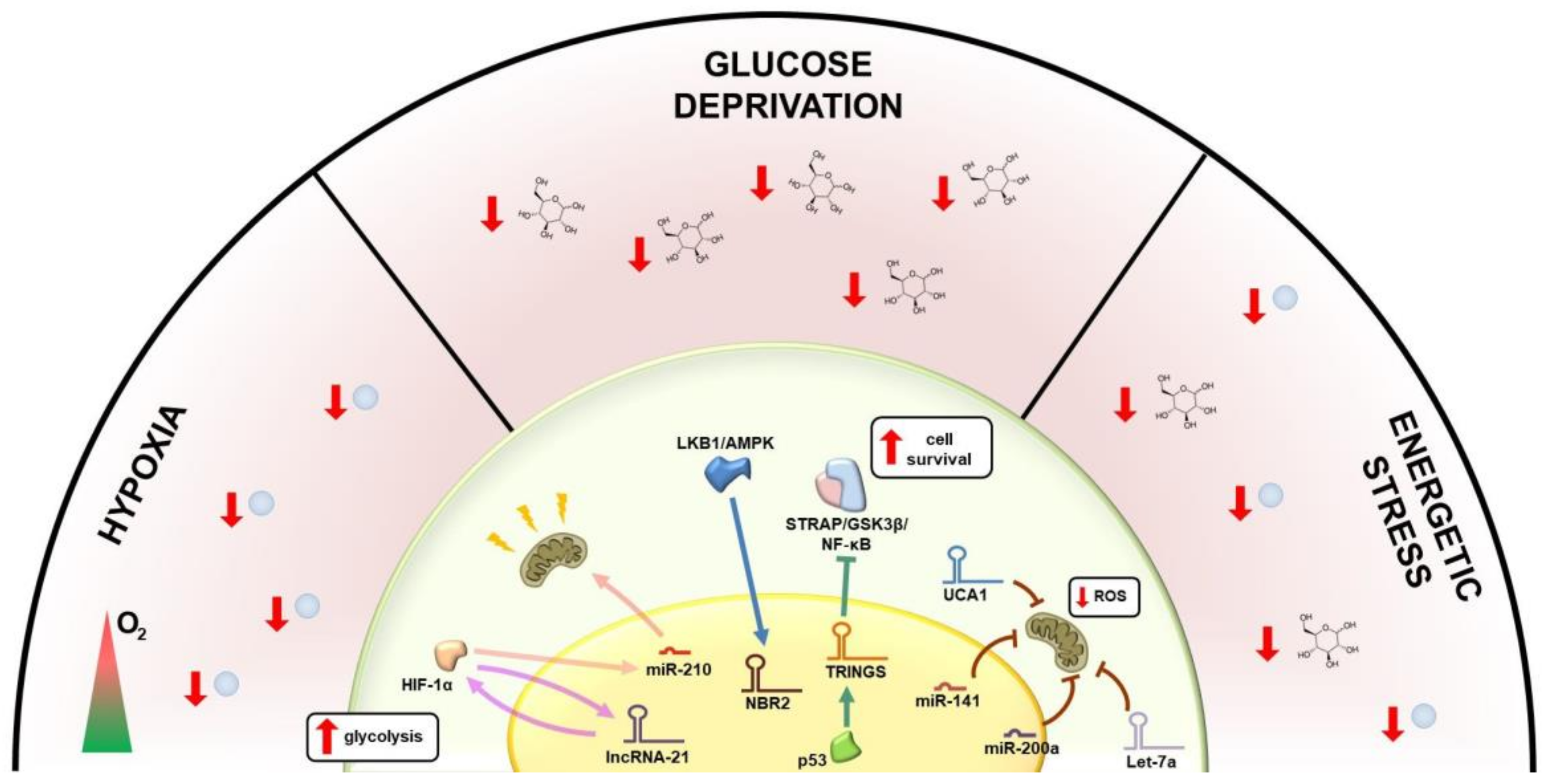 Cancers 13 03485 g001 Cancers 13 03485 g001