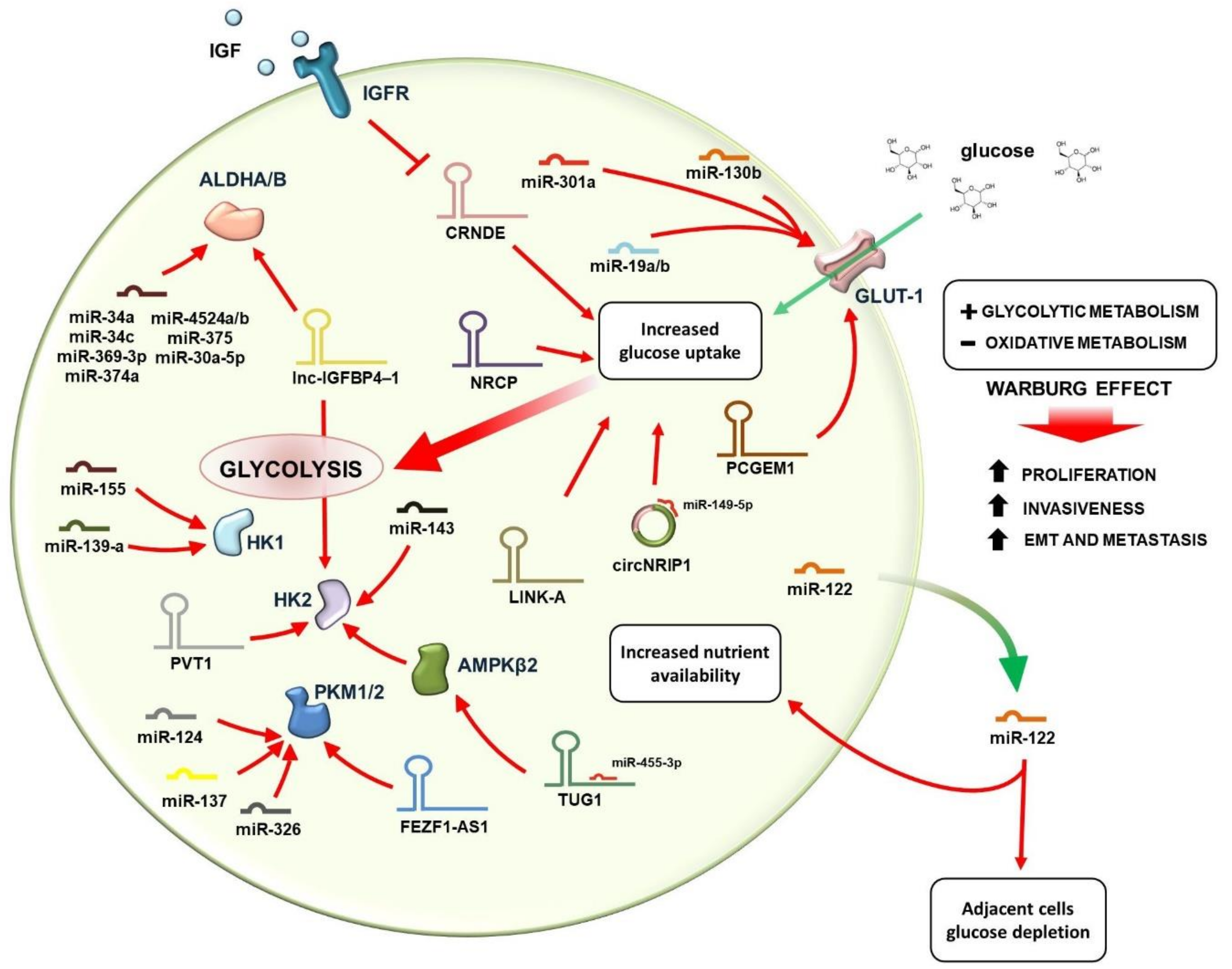 Cancers 13 03485 g002 Cancers 13 03485 g002