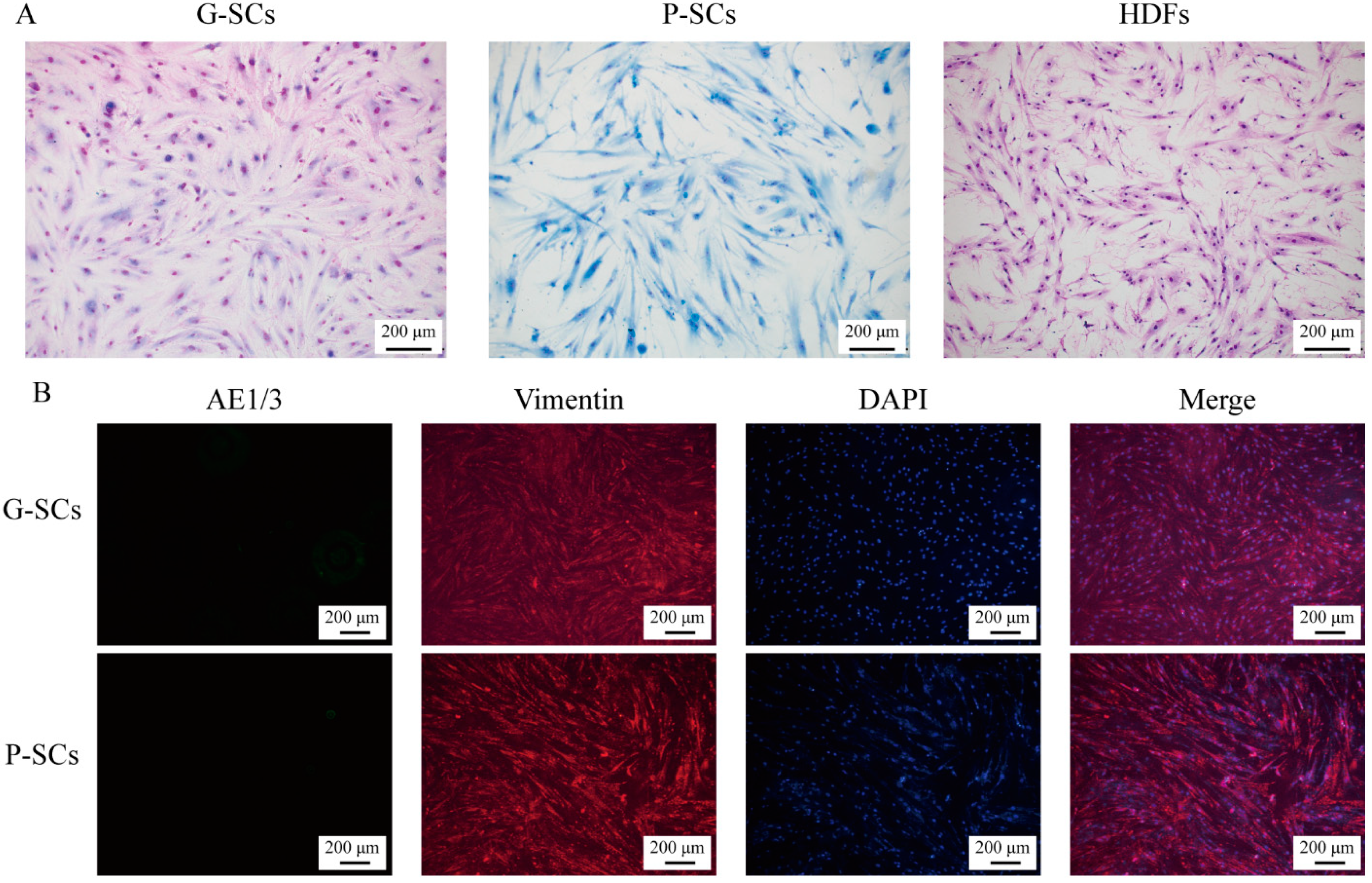 Cancers 13 03491 g001a