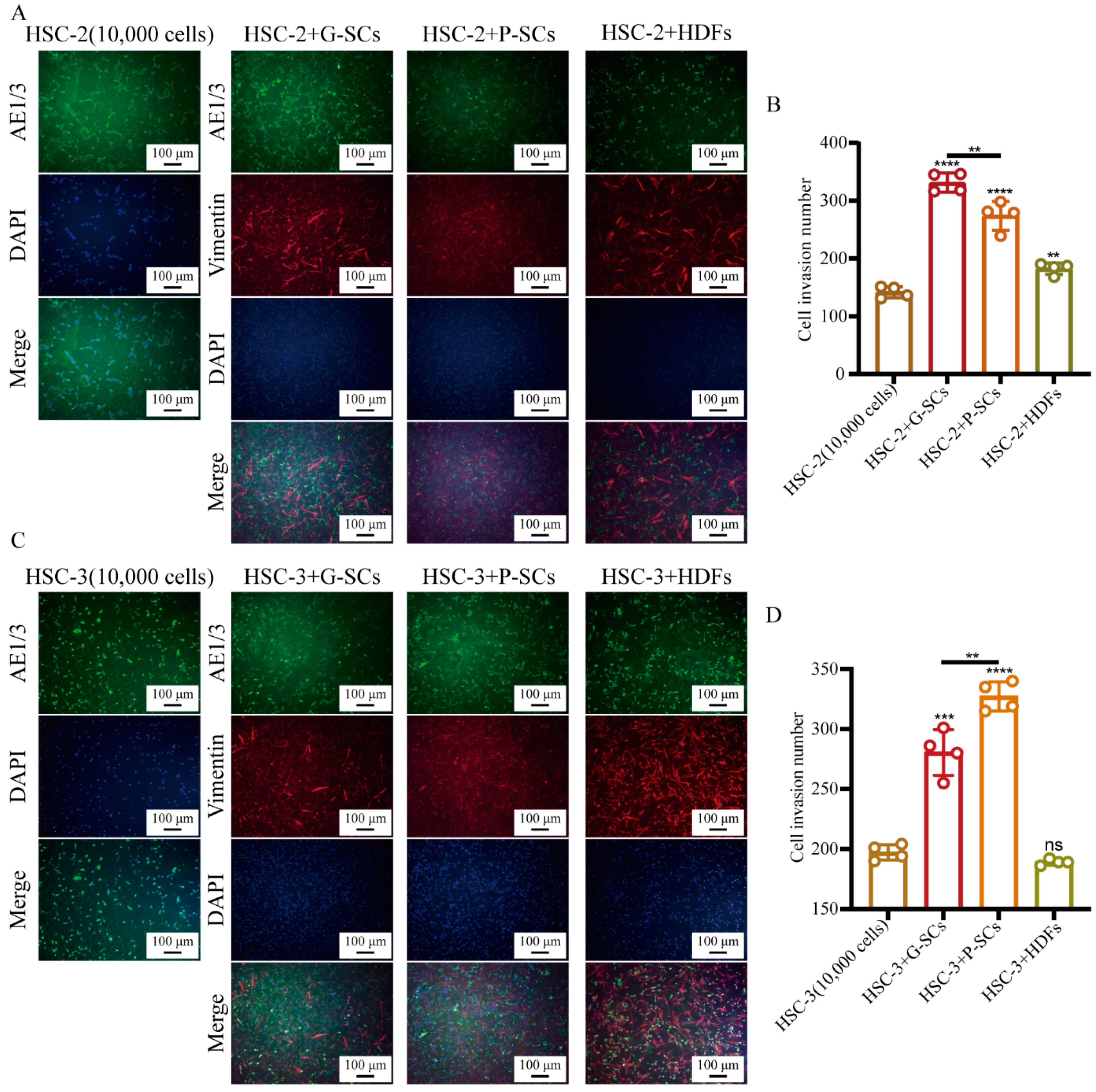 Cancers 13 03491 g004