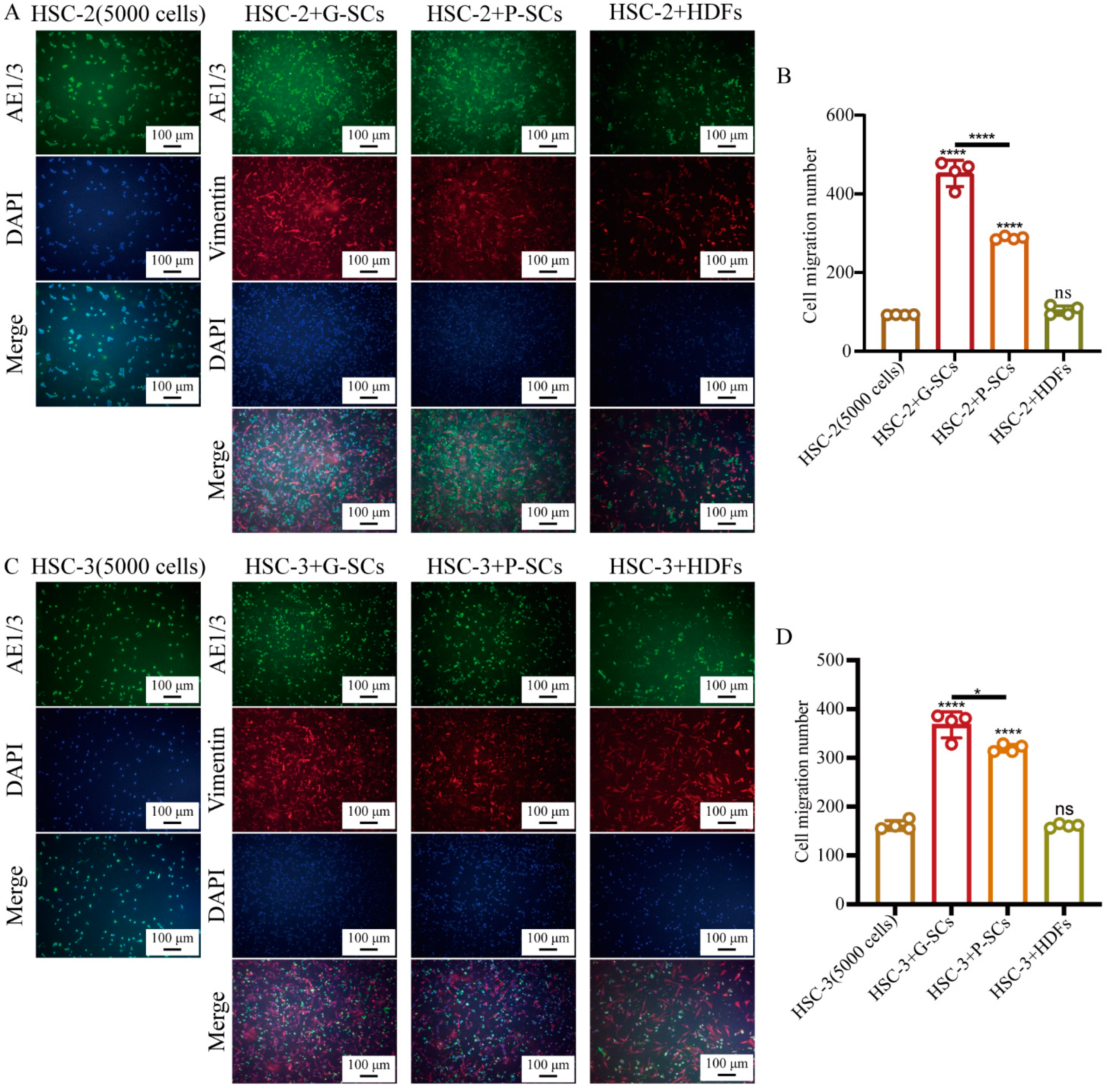 Cancers 13 03491 g005