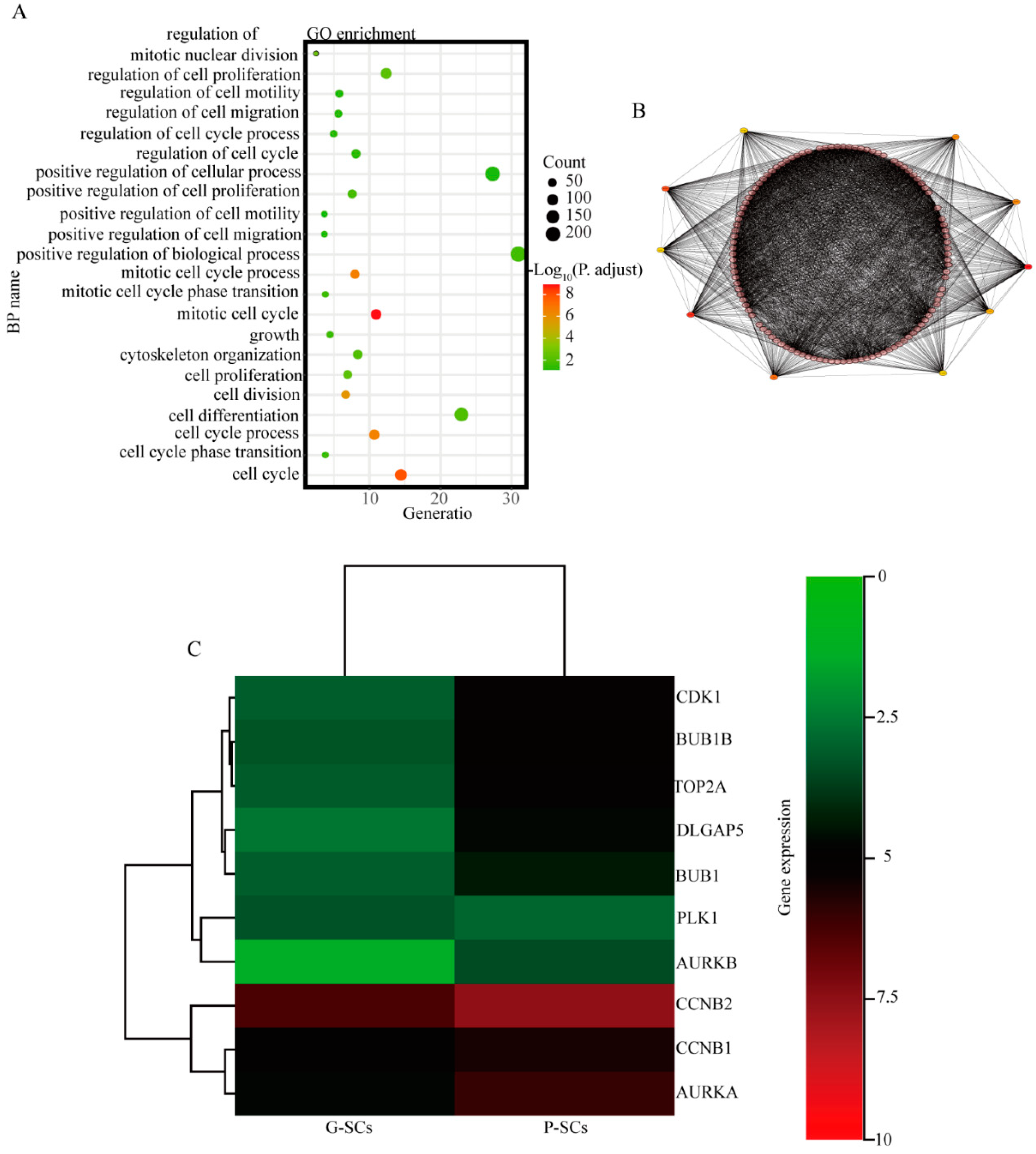 Cancers 13 03491 g009