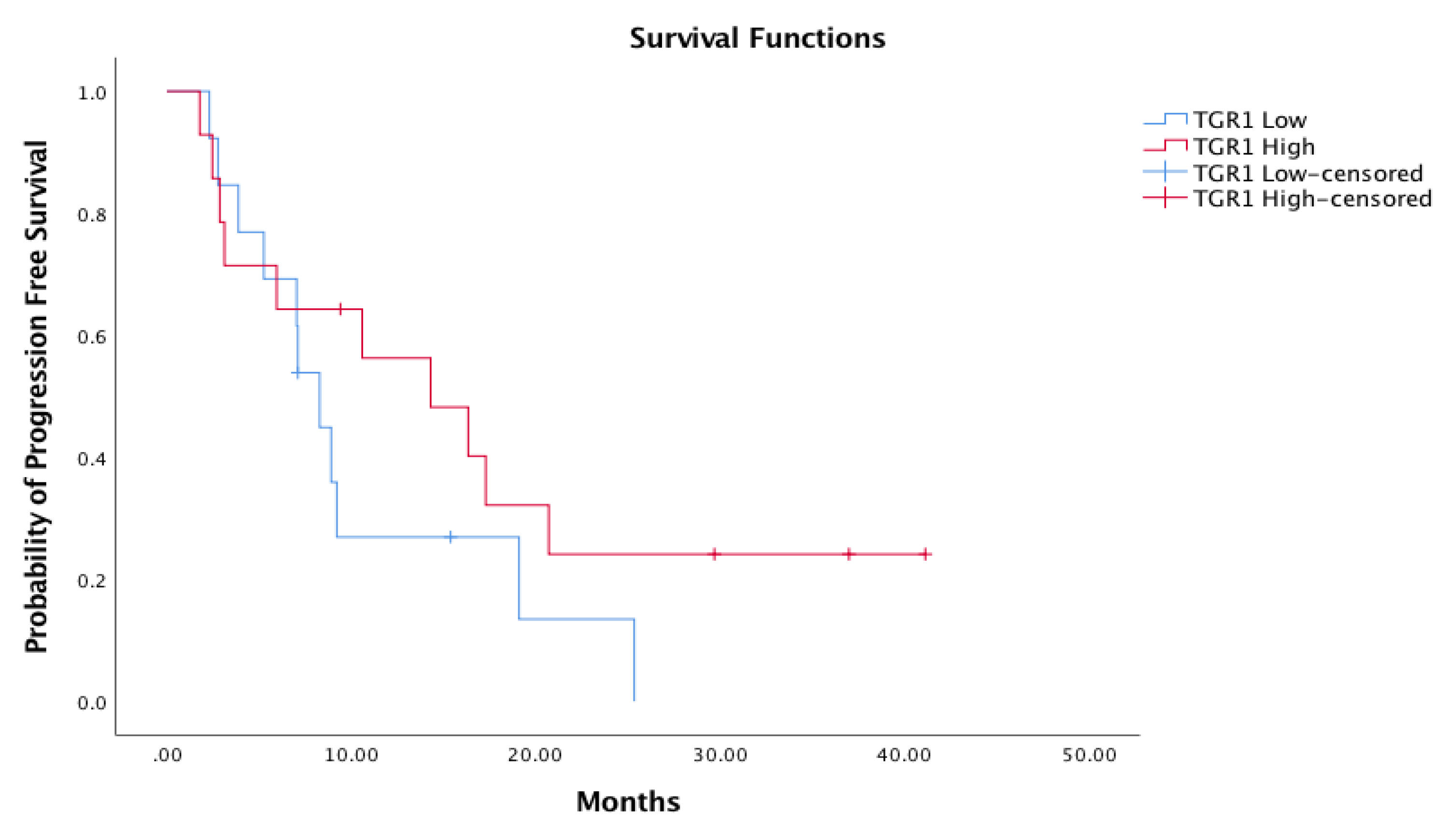 Cancers 13 03492 g002 550