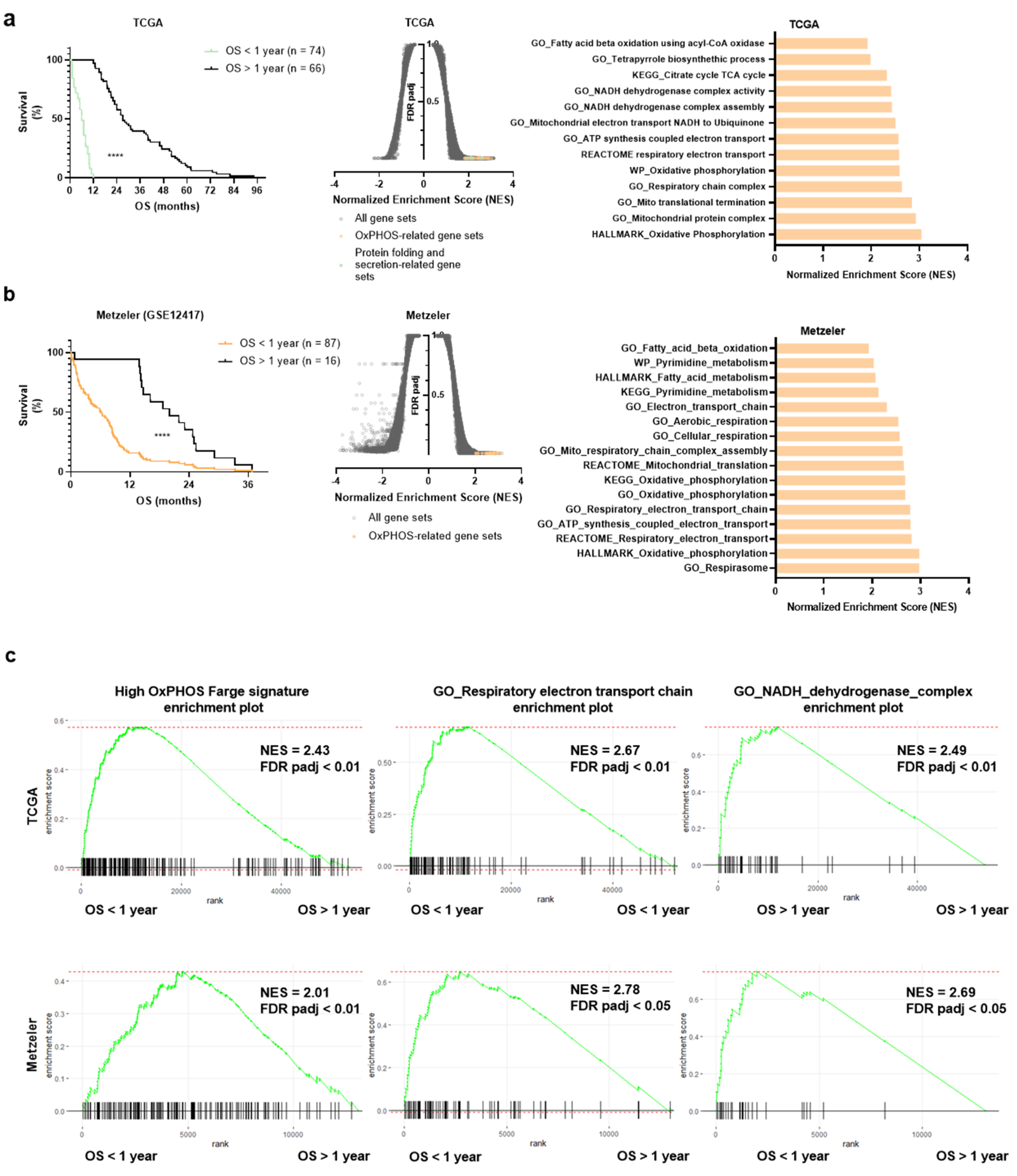 Cancers 13 03499 g001 550