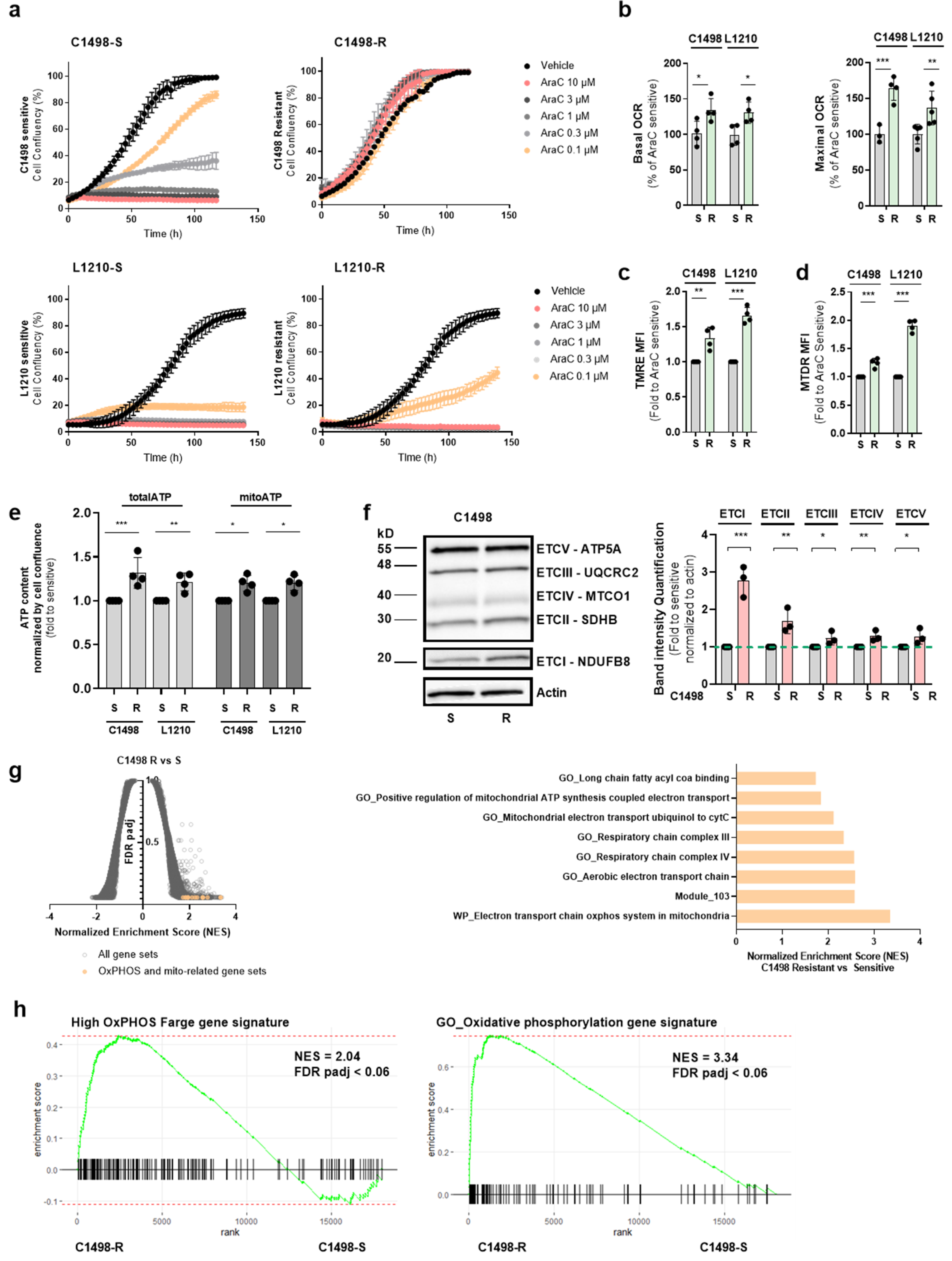 Cancers 13 03499 g002 550