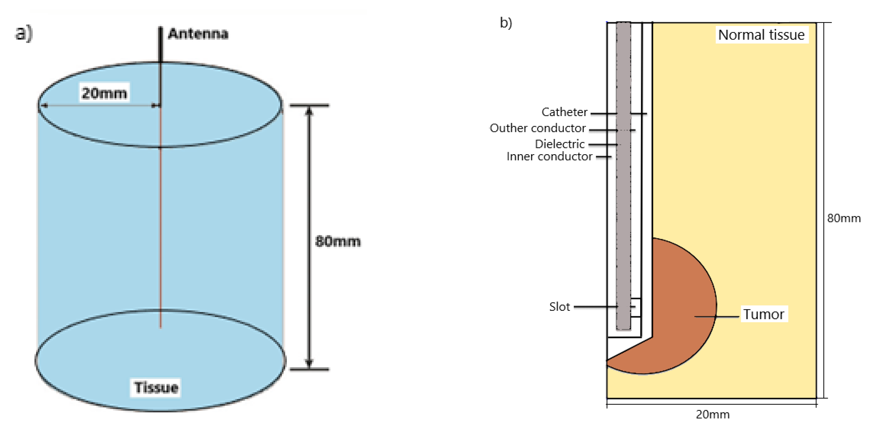 Cancers 13 03500 g001