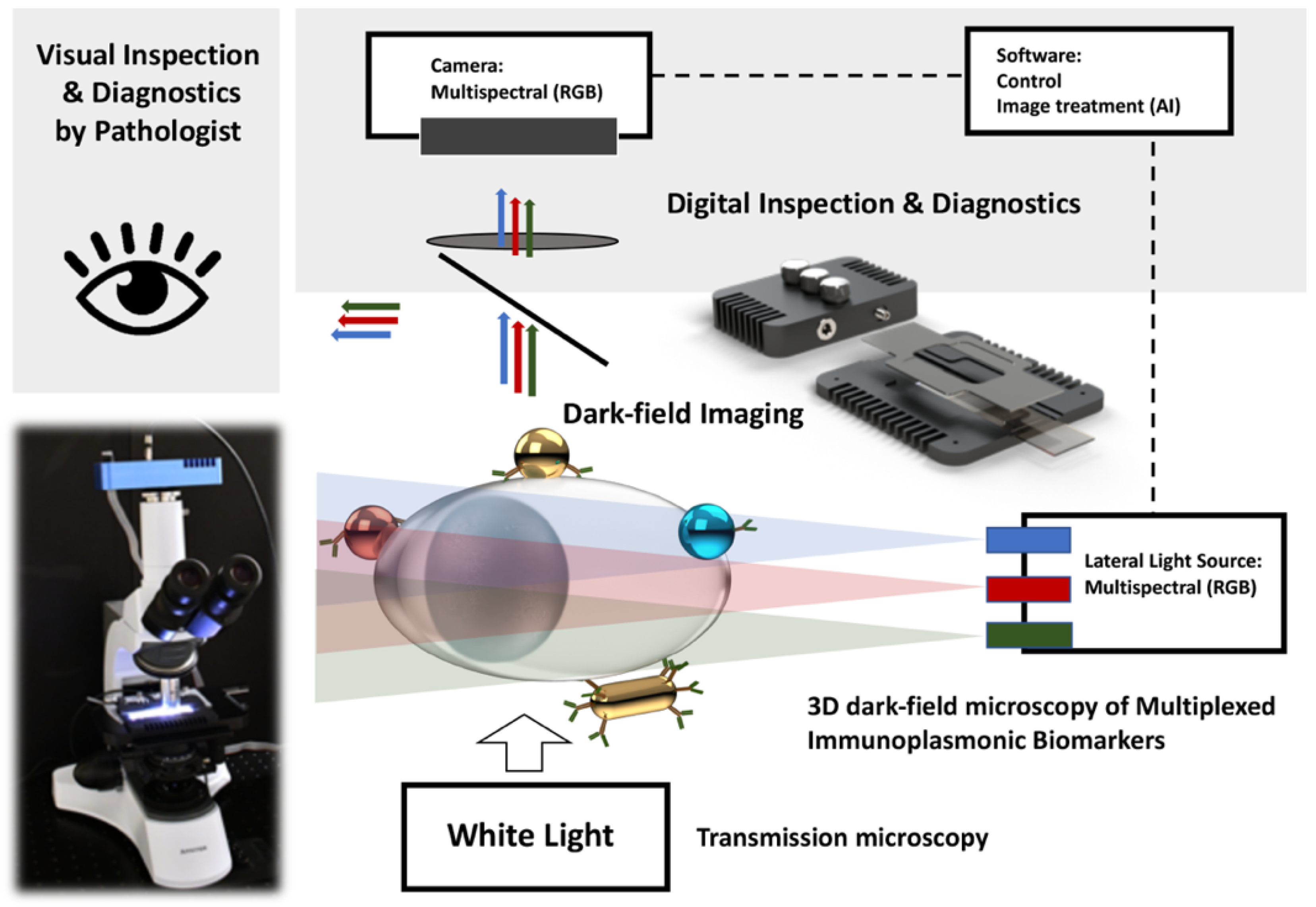 Cancers 13 03509 g001
