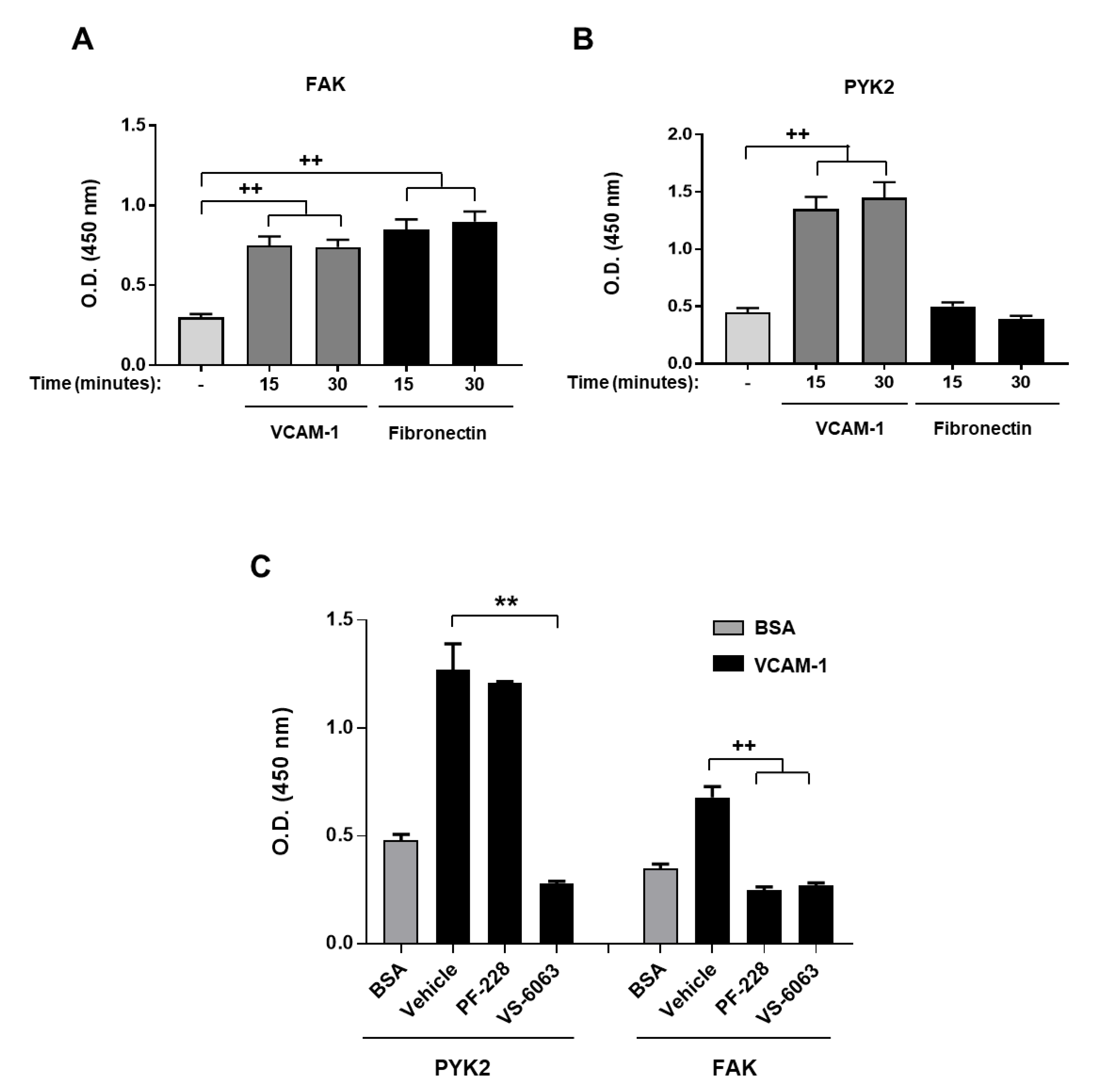Cancers 13 03512 g005 550