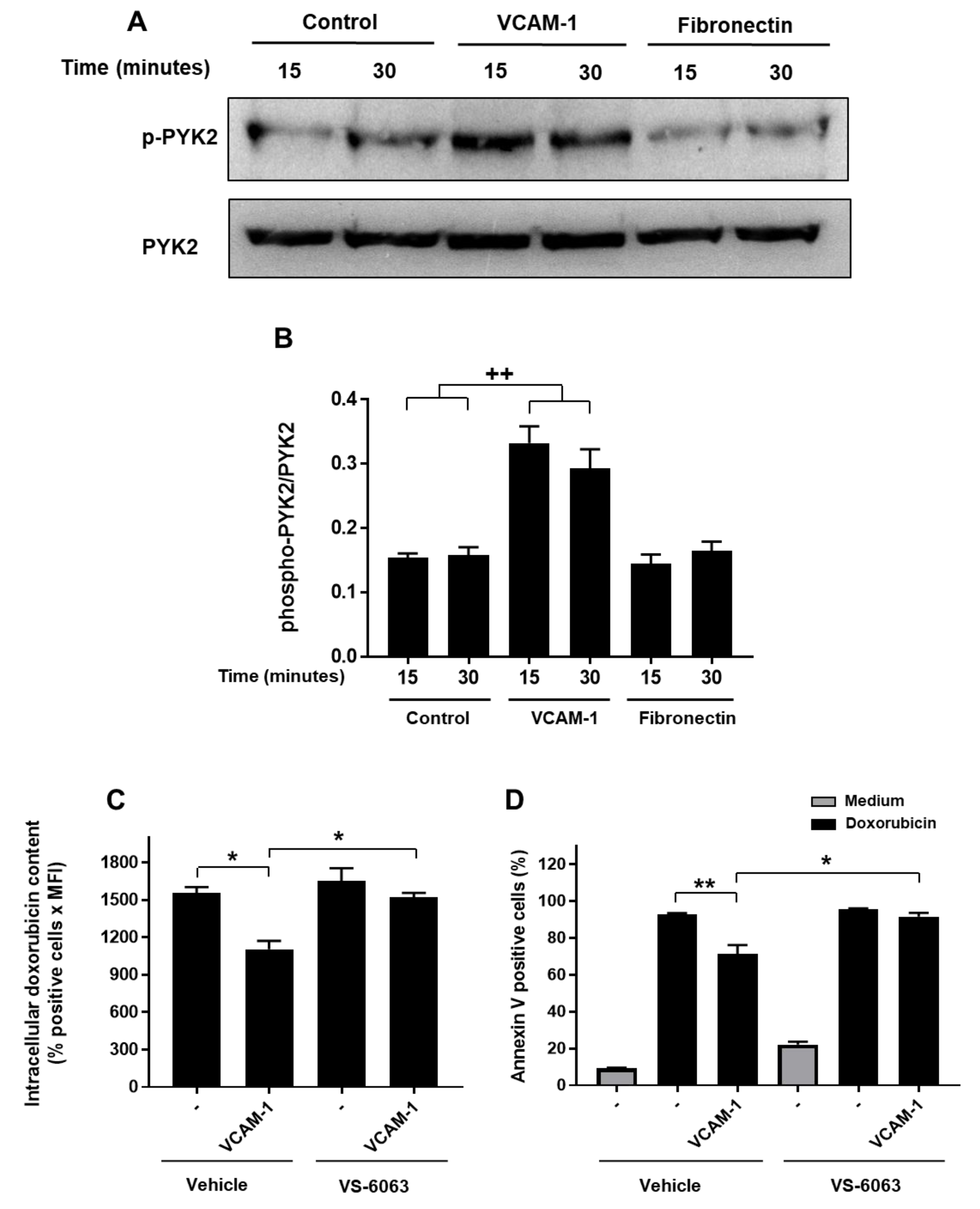 Cancers 13 03512 g007 550