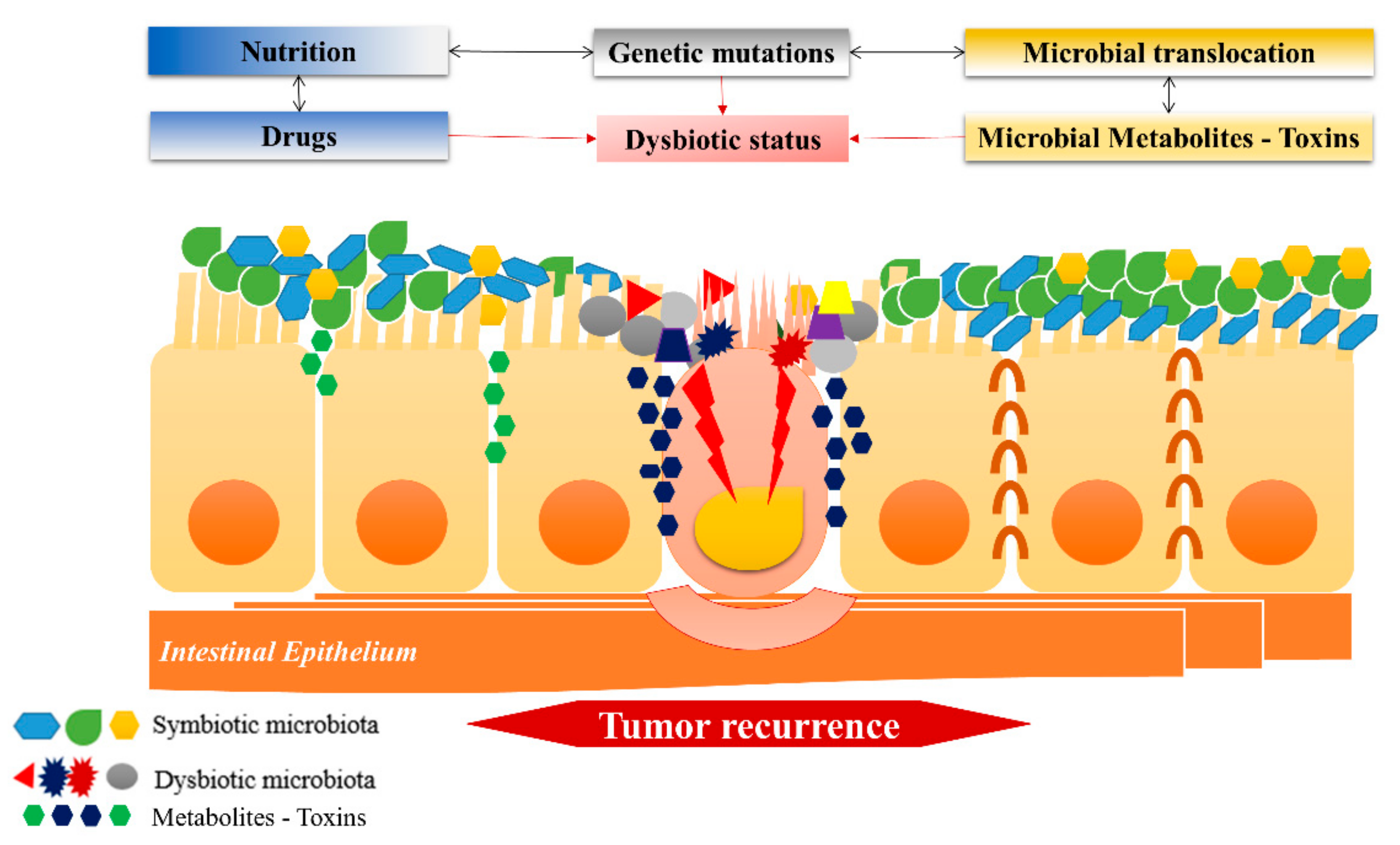 Cancers 13 03522 g001 Cancers 13 03522 g001