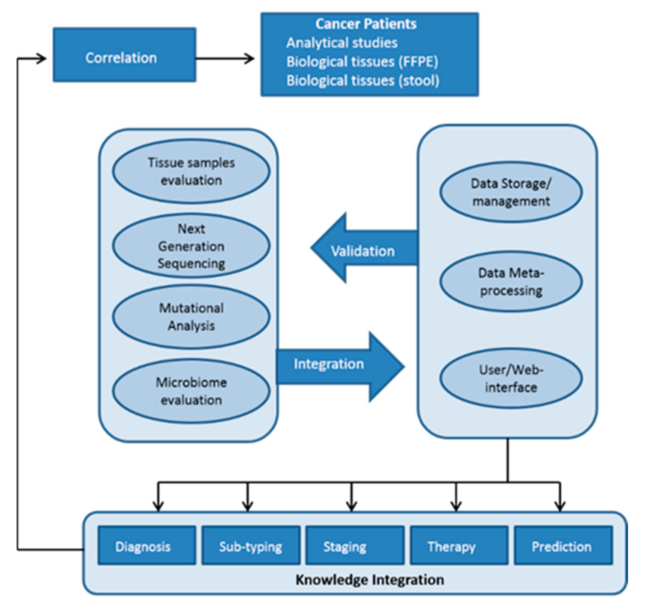 Cancers 13 03522 g002 Cancers 13 03522 g002