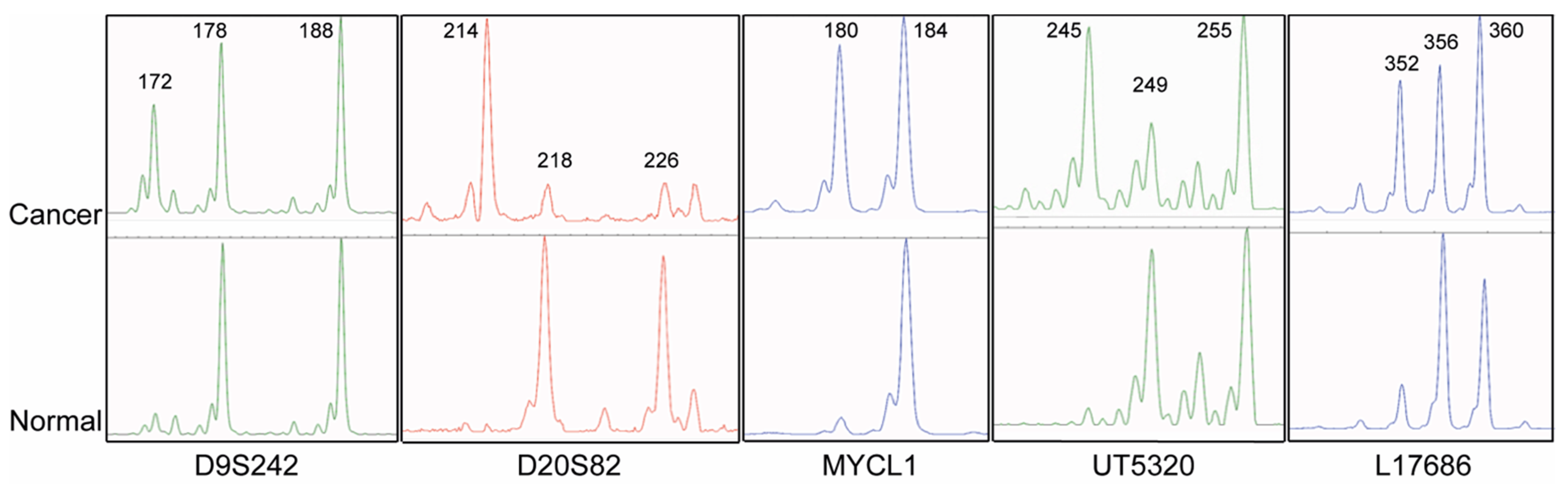 Cancers 13 03529 g001 550